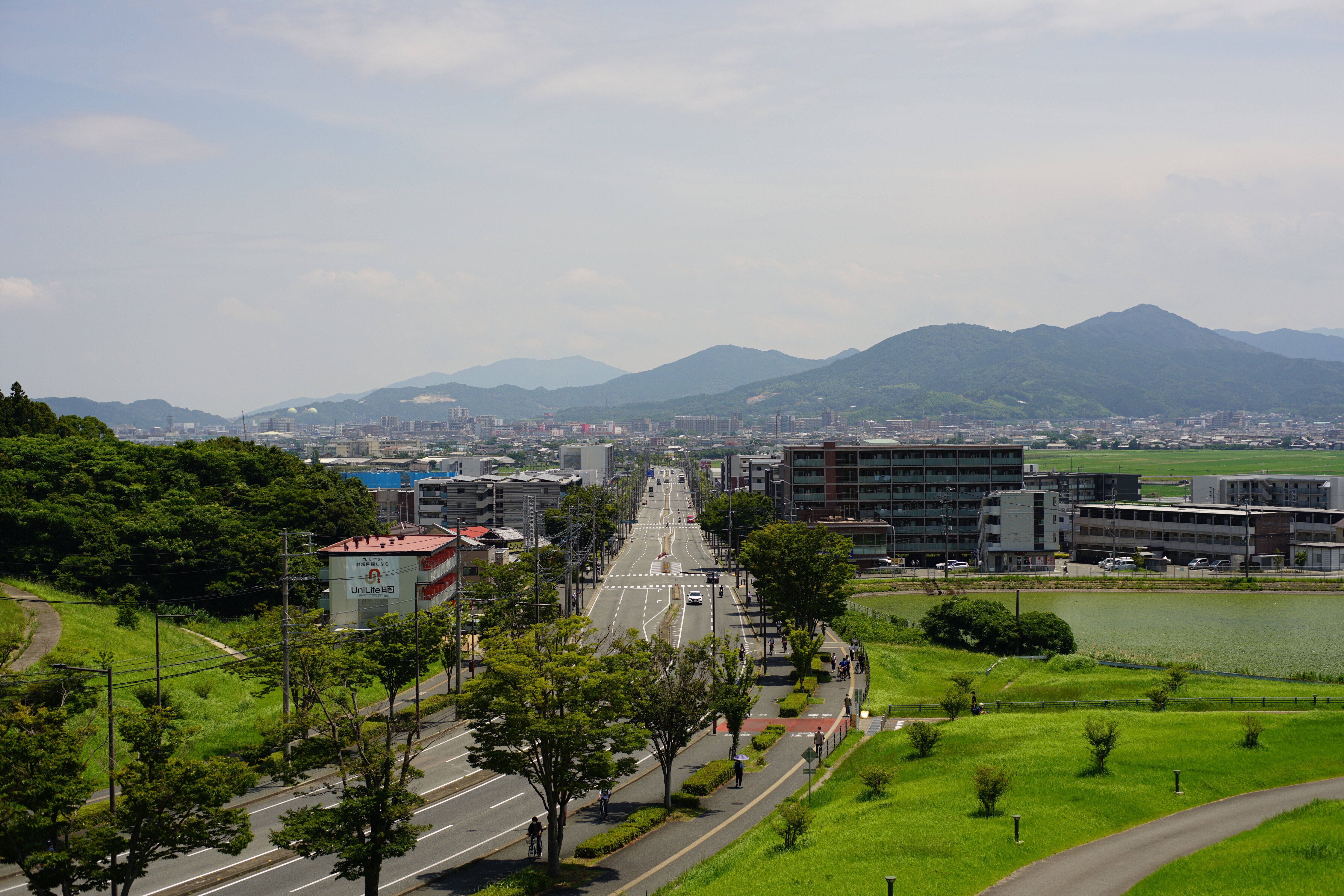 自然な光をやわらかく描く50mm F1.2｜Minolta Rokkor 350 自然な光をやわらかく描く50mm F1.2｜Minolta Rokkor 350 自然な光