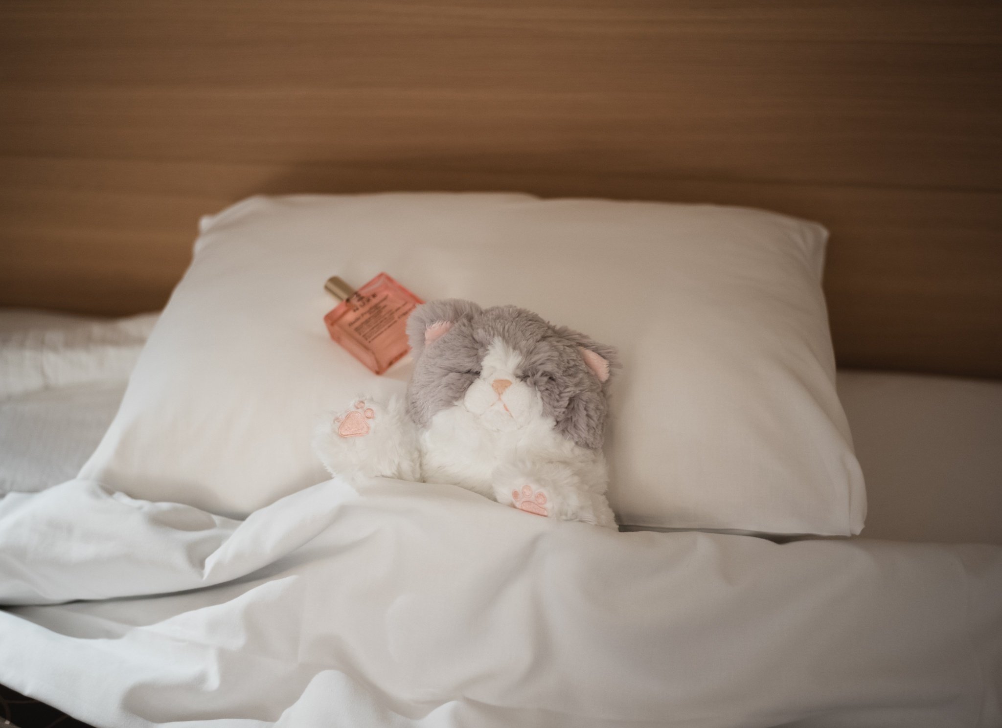 柔らかぬいぐるみ万歳｜飯田有抄