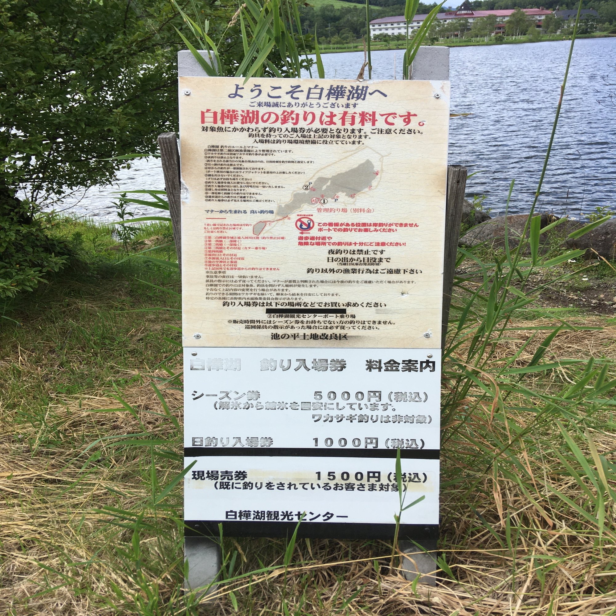 白樺湖の釣り場レポート｜魚釣りライター＠つりペン