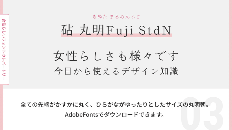砧 丸明Fuji StdN