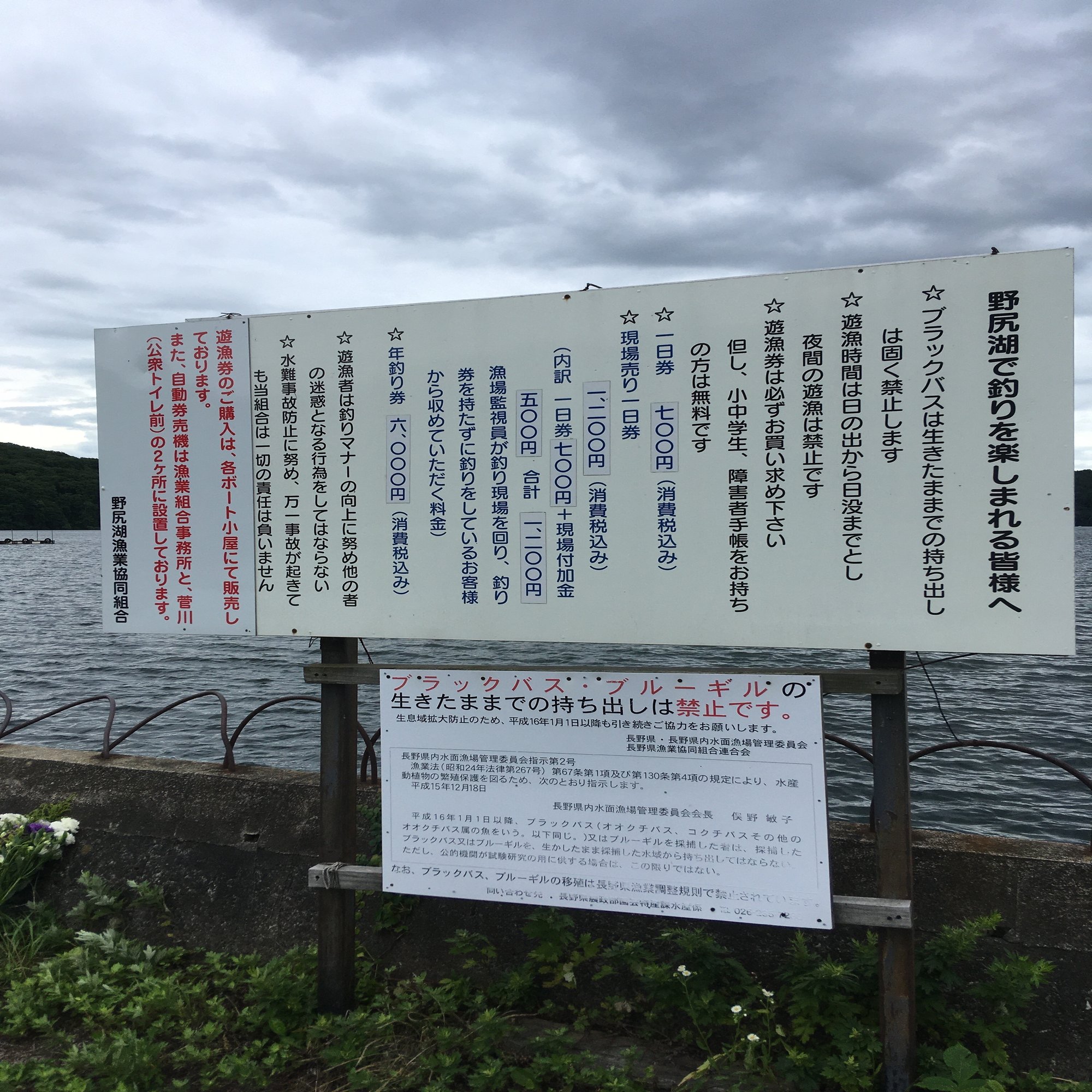 野尻湖の釣り場レポート 魚釣りライター つりペン Note