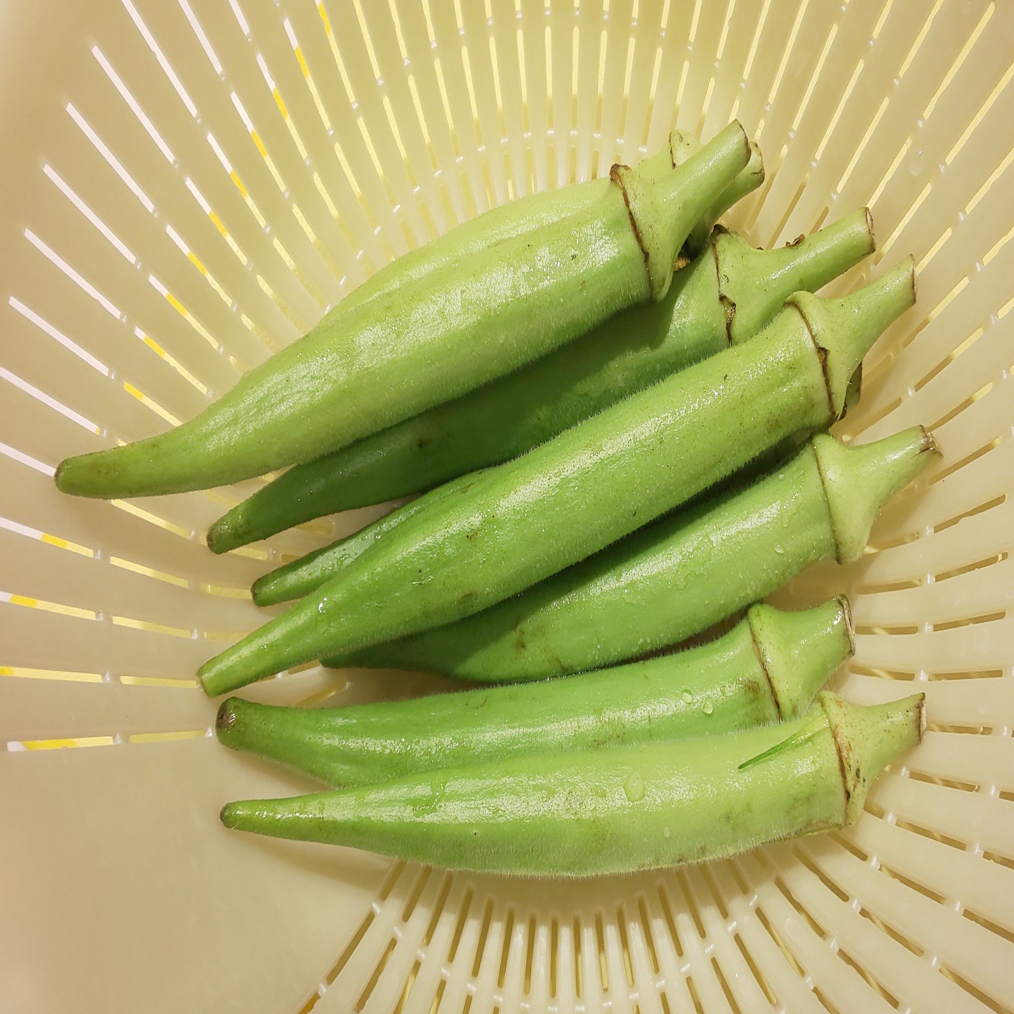 高知の思い出料理 オクラのお好み焼き 愛川真白 あいかわましろ Note