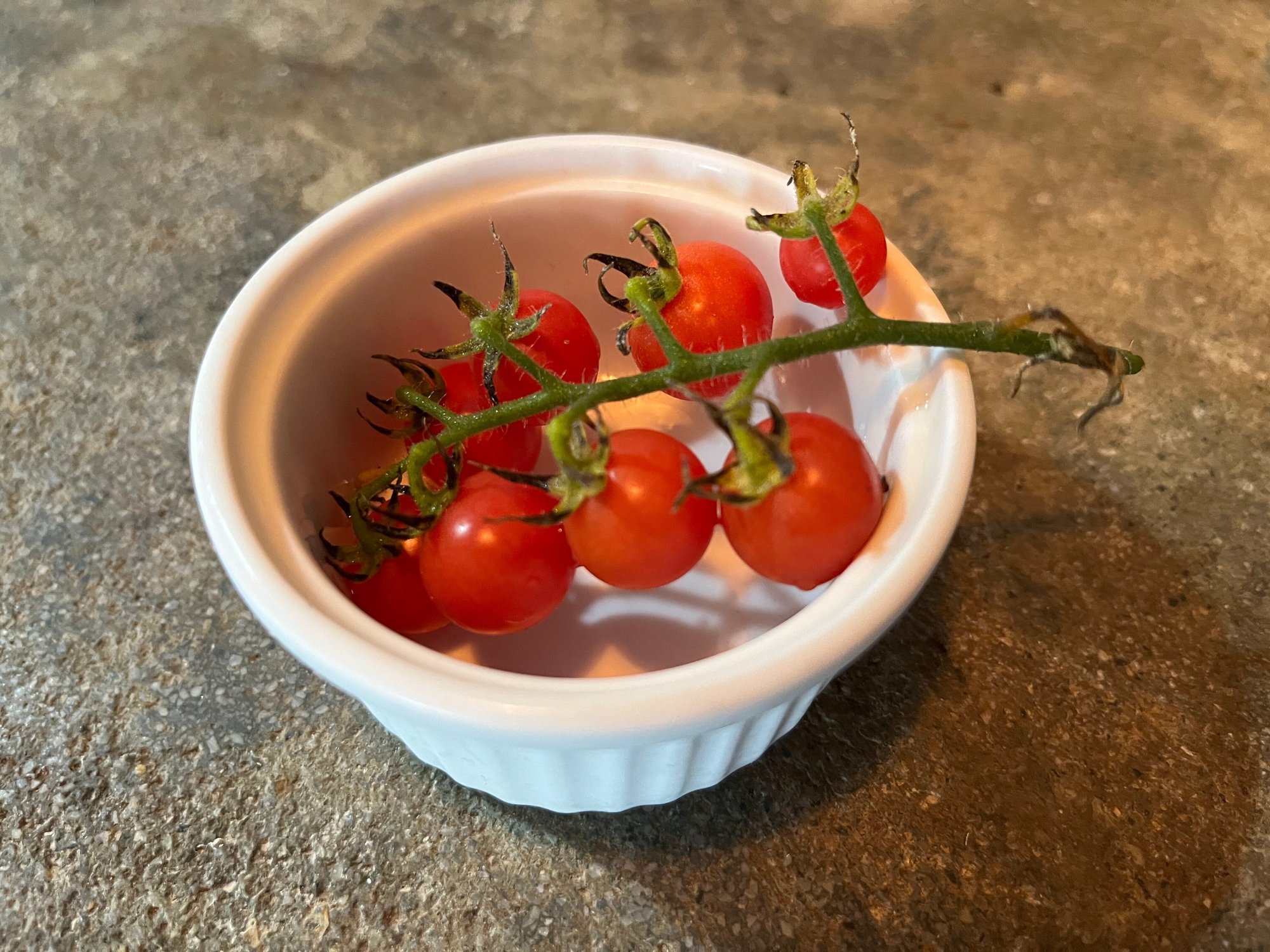 家庭菜園 原種トマト初収穫 22 7 22 Nakada Shugo Note 家庭菜園 原種トマト初収穫 22 7 22 Nakada Shugo Note