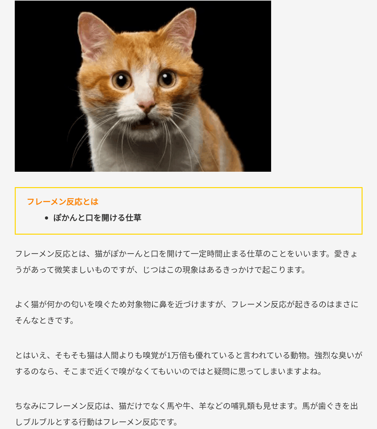 ちいかわ 第17話 7 29 金 Am 7 59まで限定配信 Mugi Note ちいかわ 第17話 7 29 金 Am 7 59まで限定配信 Mugi Note