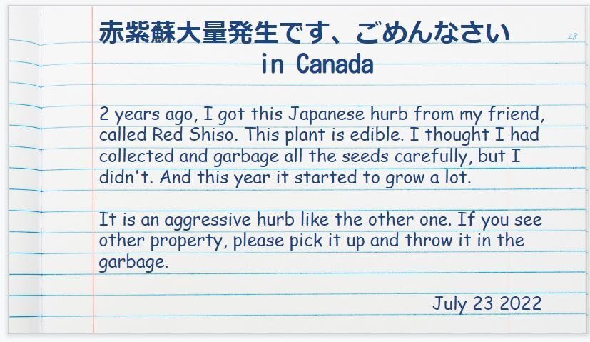あの時英語でこう言いたかった ギャー 赤紫蘇大発生です In Canada Chizu 笛を吹かない笛吹き Note あの時英語でこう言いたかった ギャー 赤紫蘇大発生です In Canada Chizu 笛を吹かない笛吹き Note