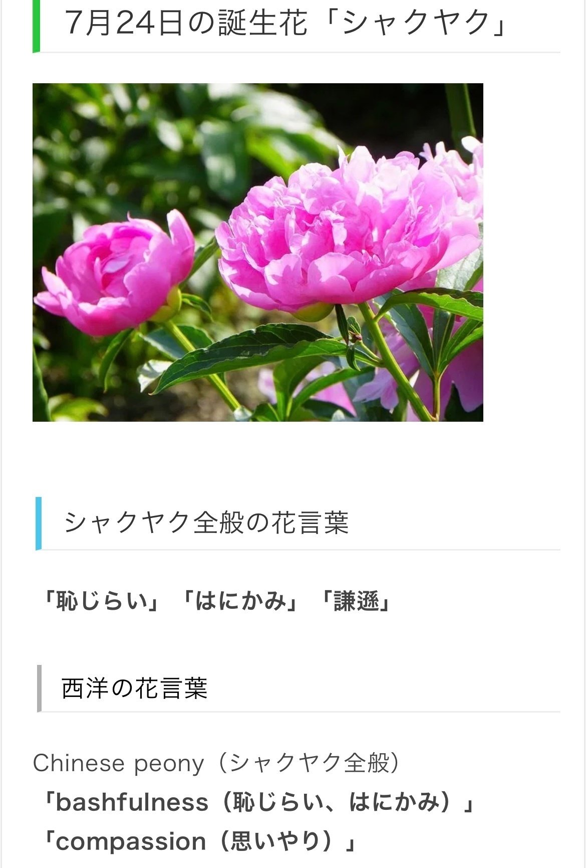 7月24日生まれのあなたへ Chiyo Note 7月24日生まれのあなたへ Chiyo Note