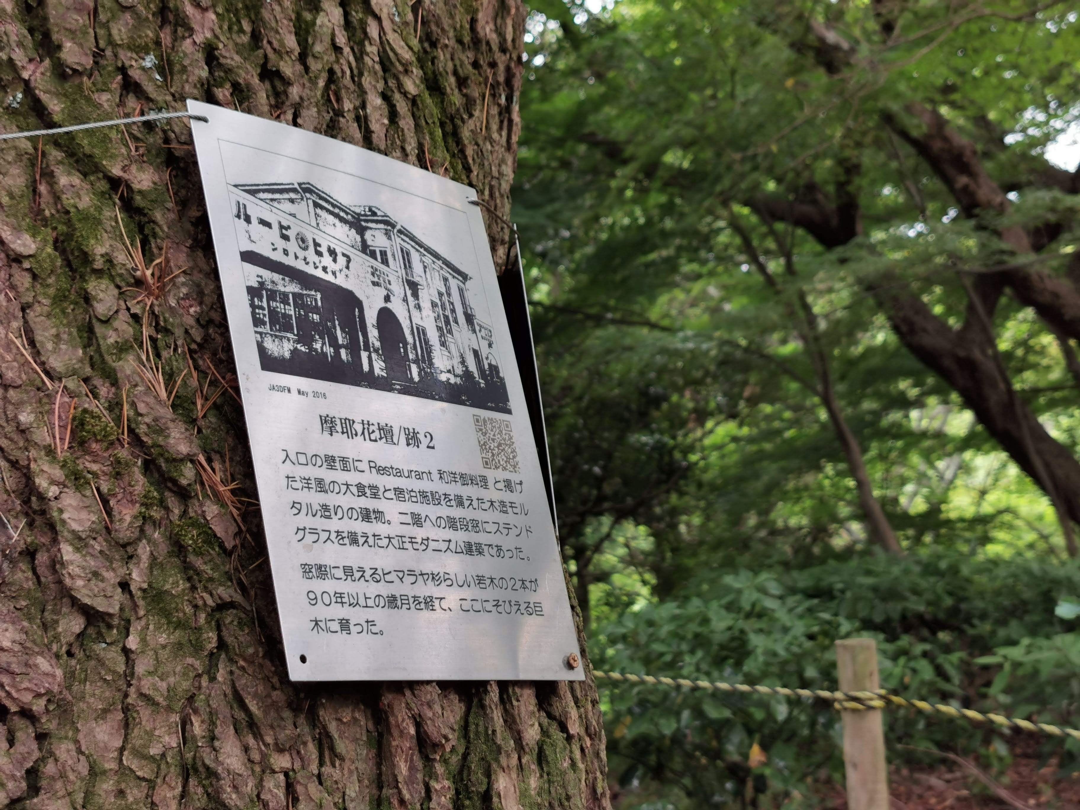 廃墟ホテルを巡る「マヤ遺跡ガイドウォーク」のススメ｜神戸ホテル