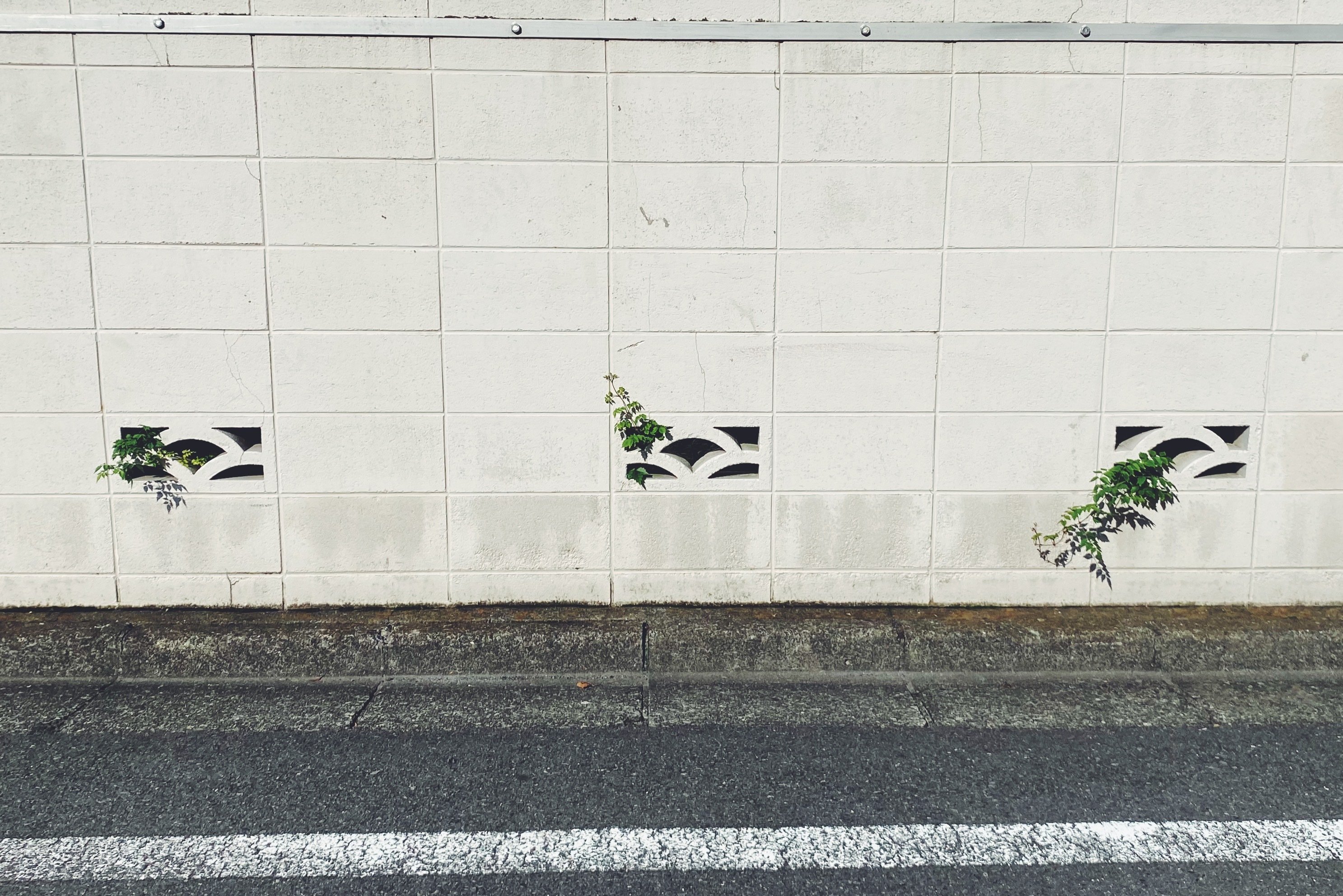 ブロック塀の穴から草 4558 稲垣純也 Note