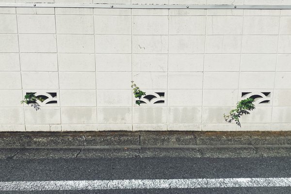 ブロック塀 の新着タグ記事一覧 Note つくる つながる とどける ブロック塀 の新着タグ記事一覧 Note つくる つながる とどける