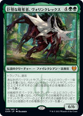 edh デッキ統率者　MTG 時を超えた英雄、ミンスクとブー　波 統率者・EDH】時を超えた英雄、ミンスクとブー【レベル6