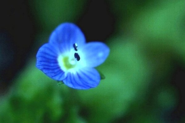 雑草の花 の新着タグ記事一覧 Note つくる つながる とどける 雑草の花 の新着タグ記事一覧 Note つくる つながる とどける