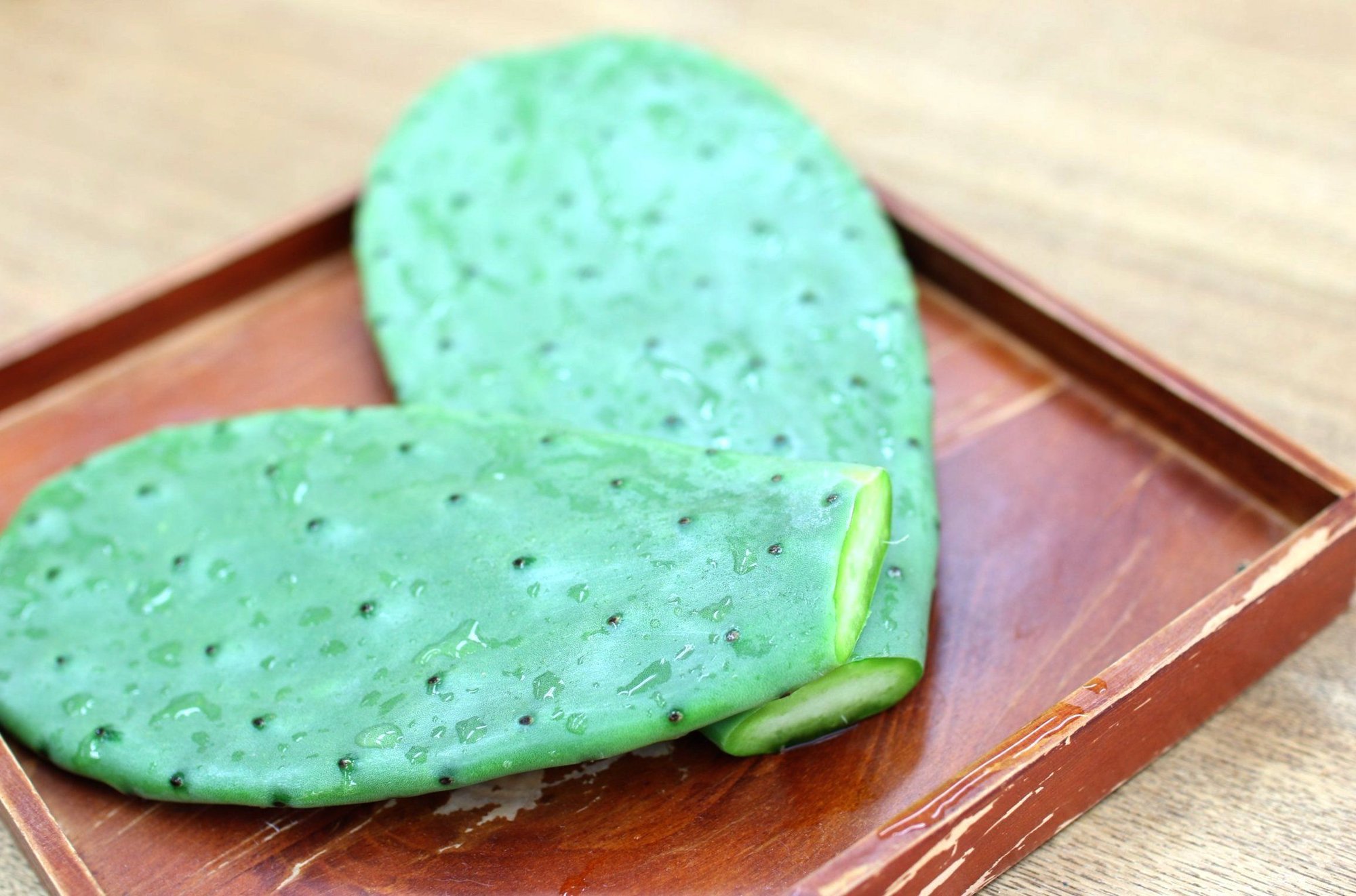 食べるサボテン 太陽の葉 に会いにいく みたすくらす 東海の地産情報を地元クリエイターがお届け 食べるサボテン 太陽の葉 に会いにいく みたすくらす 東海の地産情報を地元クリエイターがお届け