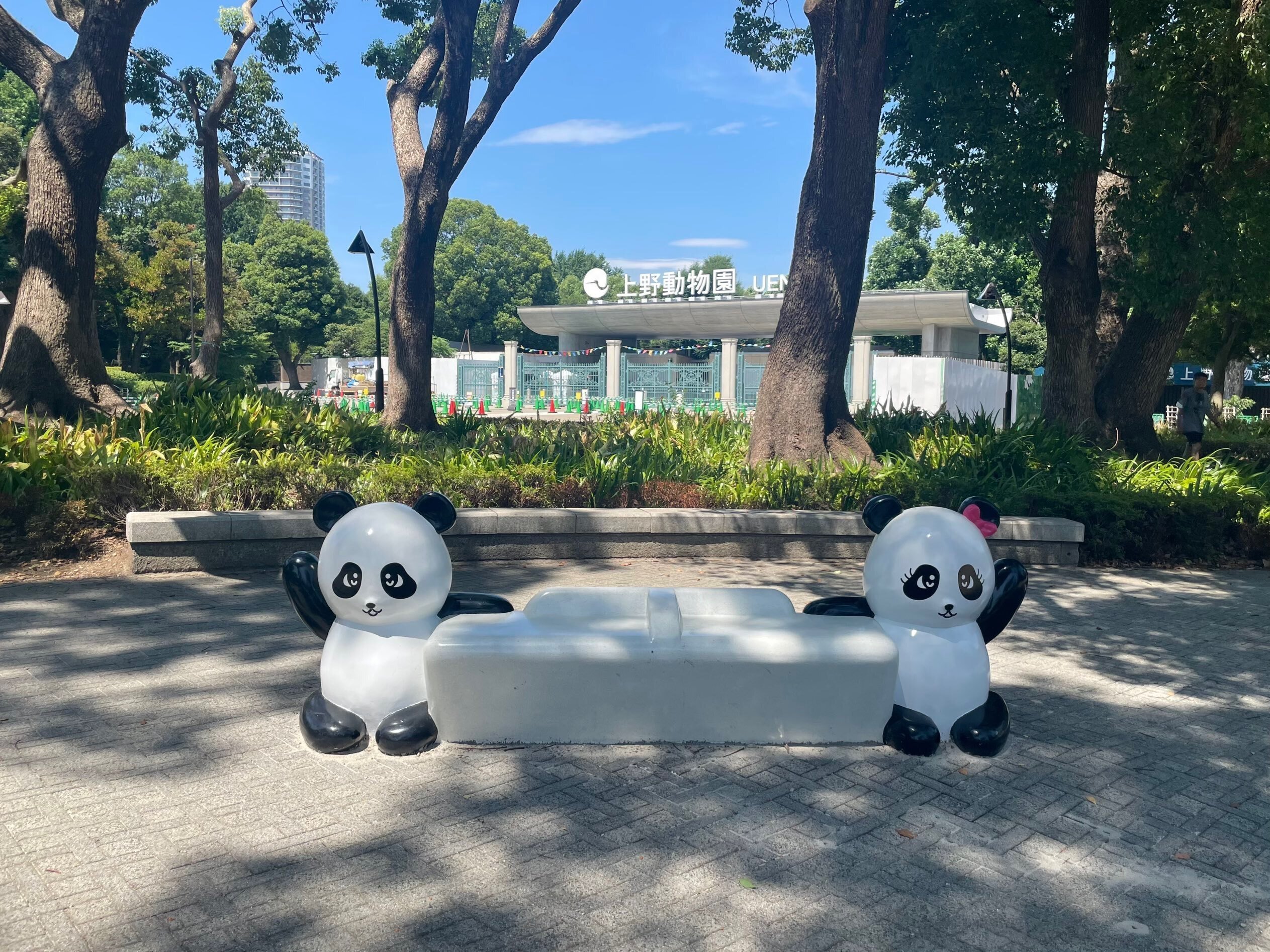 水彩画 　上野公園　　不忍池　　蓮 水彩画 上野公園 不忍池 蓮 8K 3D VR180 ] 見頃を迎えた上野公園不忍