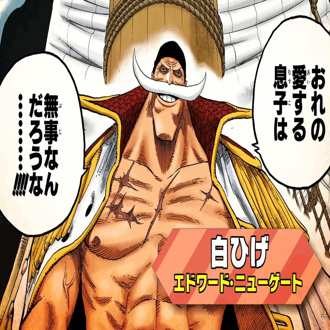 ３分で見るワンピース ６００文字 まいぷろ Note