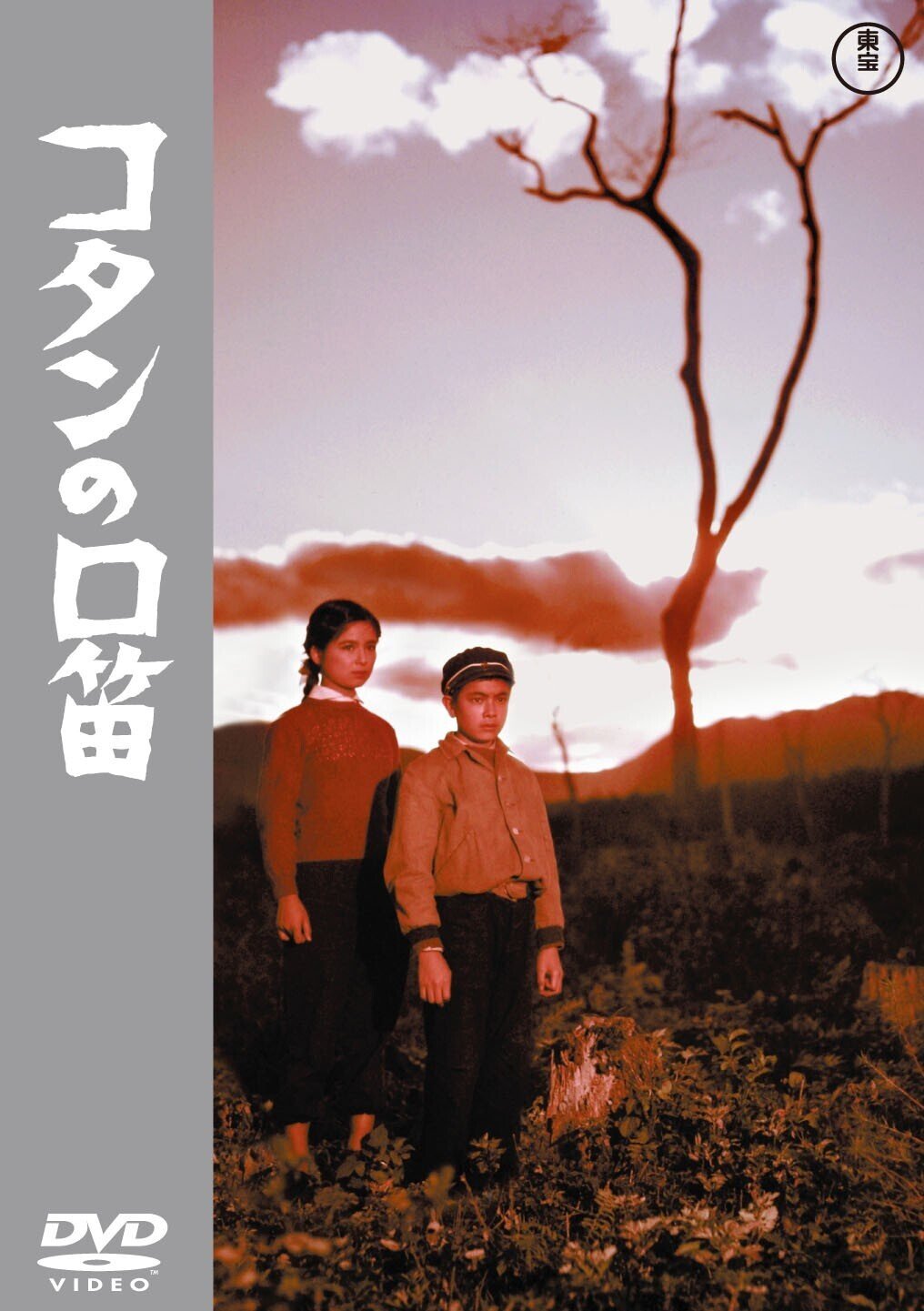 成瀬巳喜男監督未DVD化5作品 2022年10月19日リリース！｜佐藤