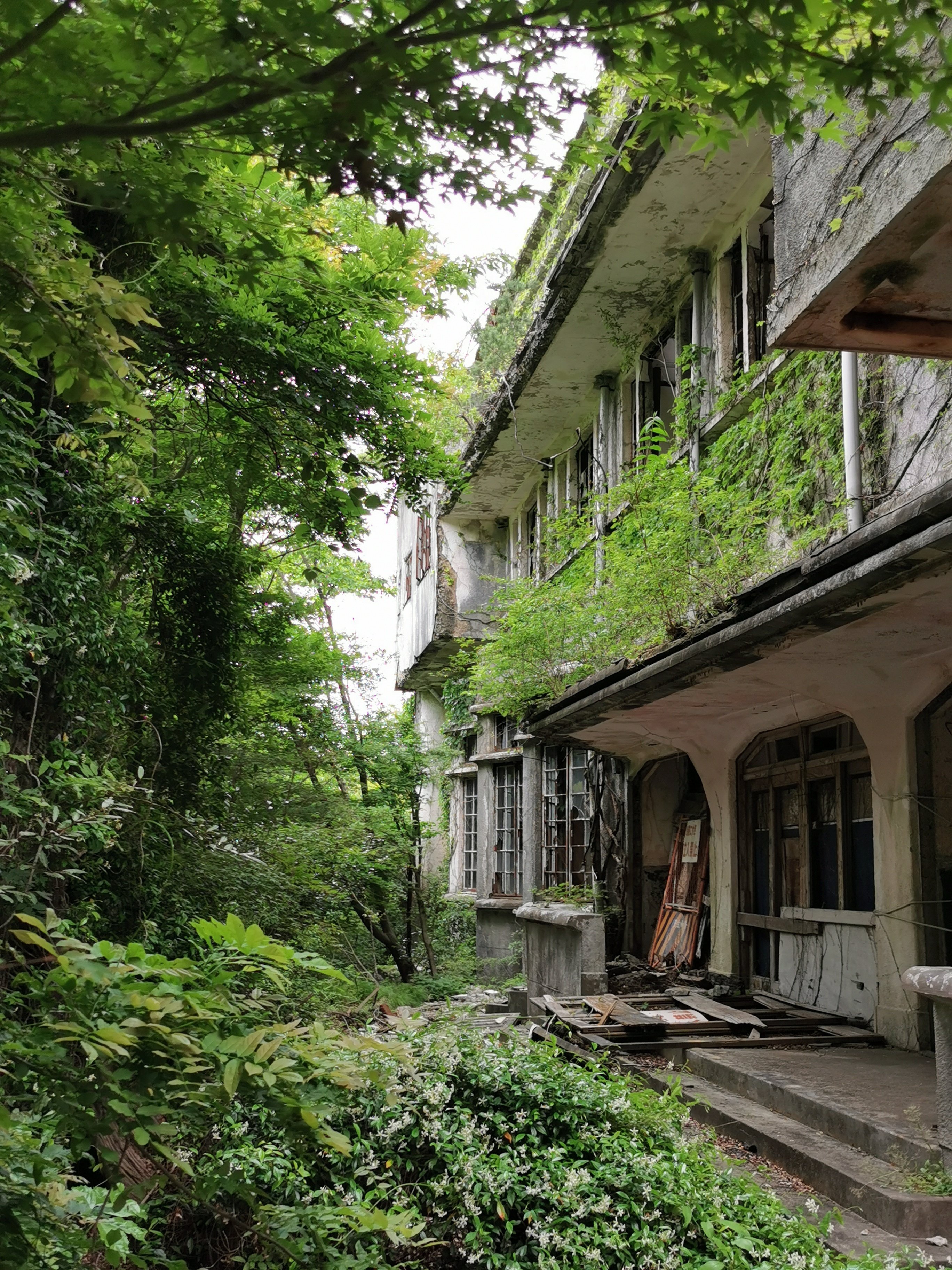 廃墟ホテルを巡る「マヤ遺跡ガイドウォーク」のススメ｜神戸ホテル