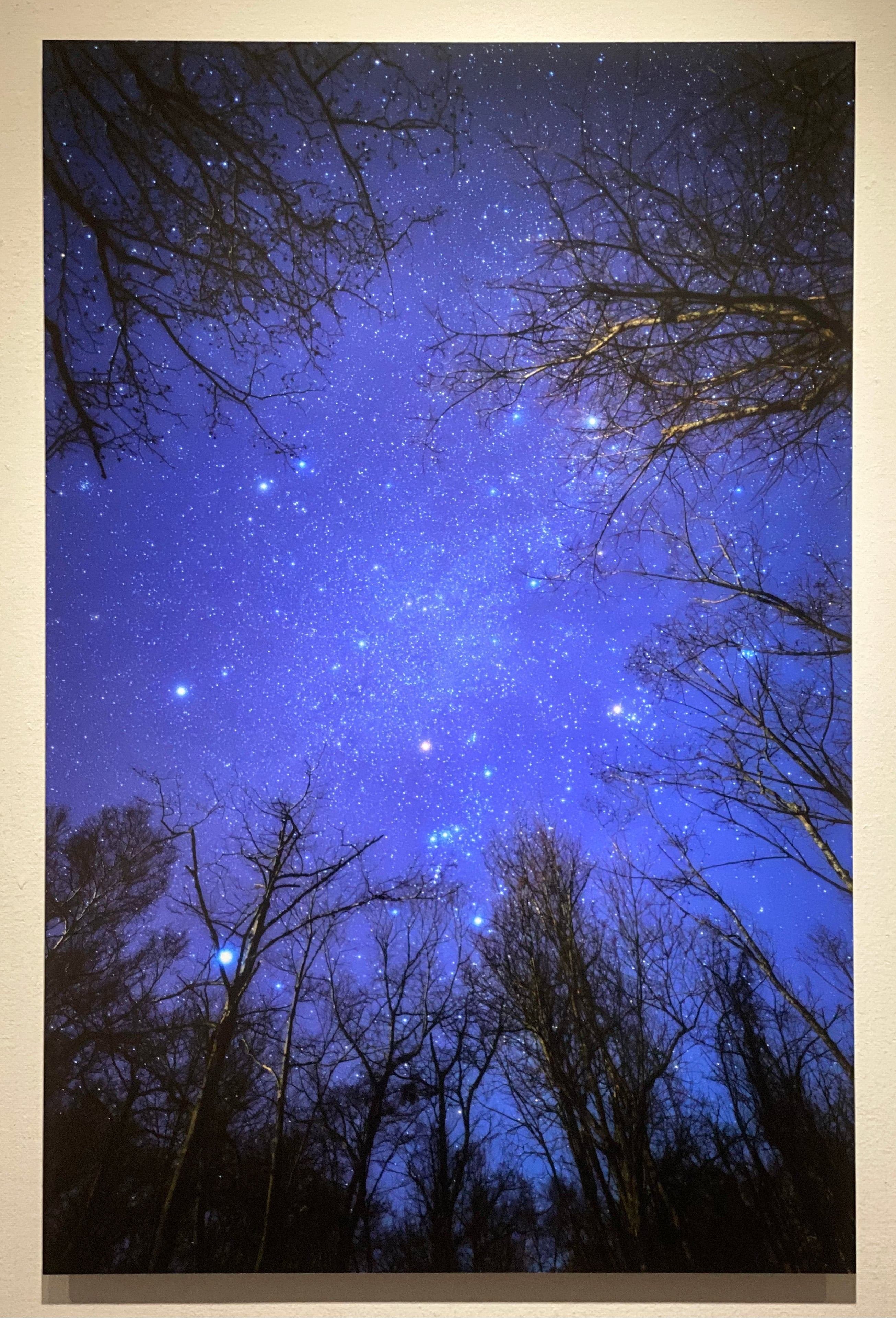 きらめく星座 花火 群馬火工製