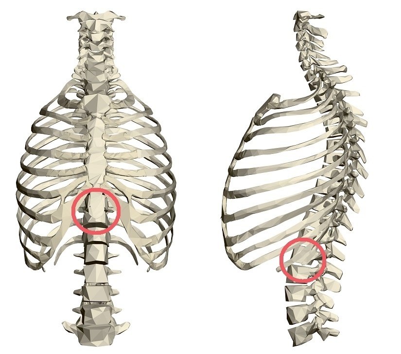 運動療育 体軸体操をやってみよう みぞおちアクション くびアクション Nest Care ネストケア Note 運動療育 体軸体操をやってみよう みぞおちアクション くびアクション Nest Care ネストケア Note