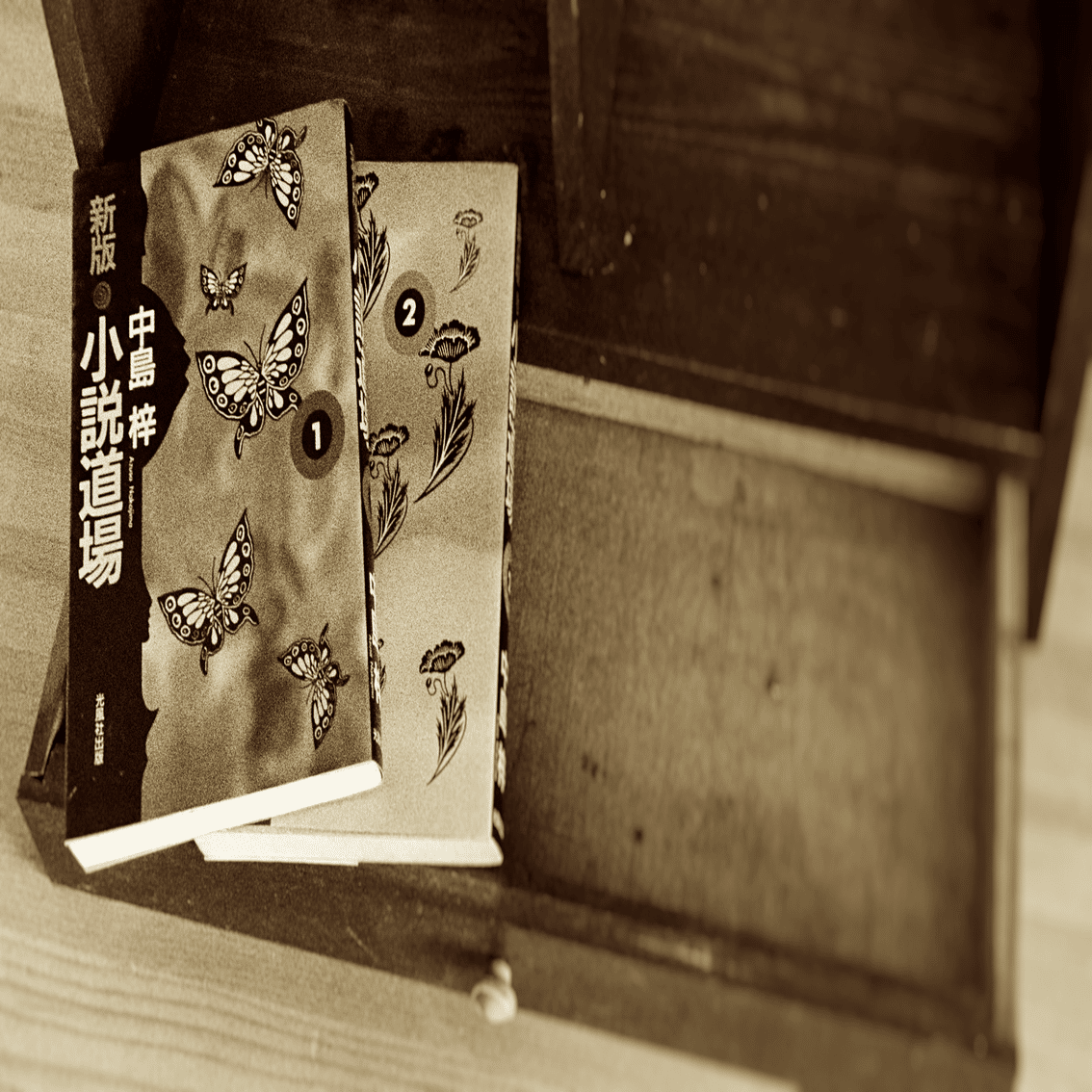 第2回 中島梓の説く「誰に批判されても構わない文章」｜三宅香帆