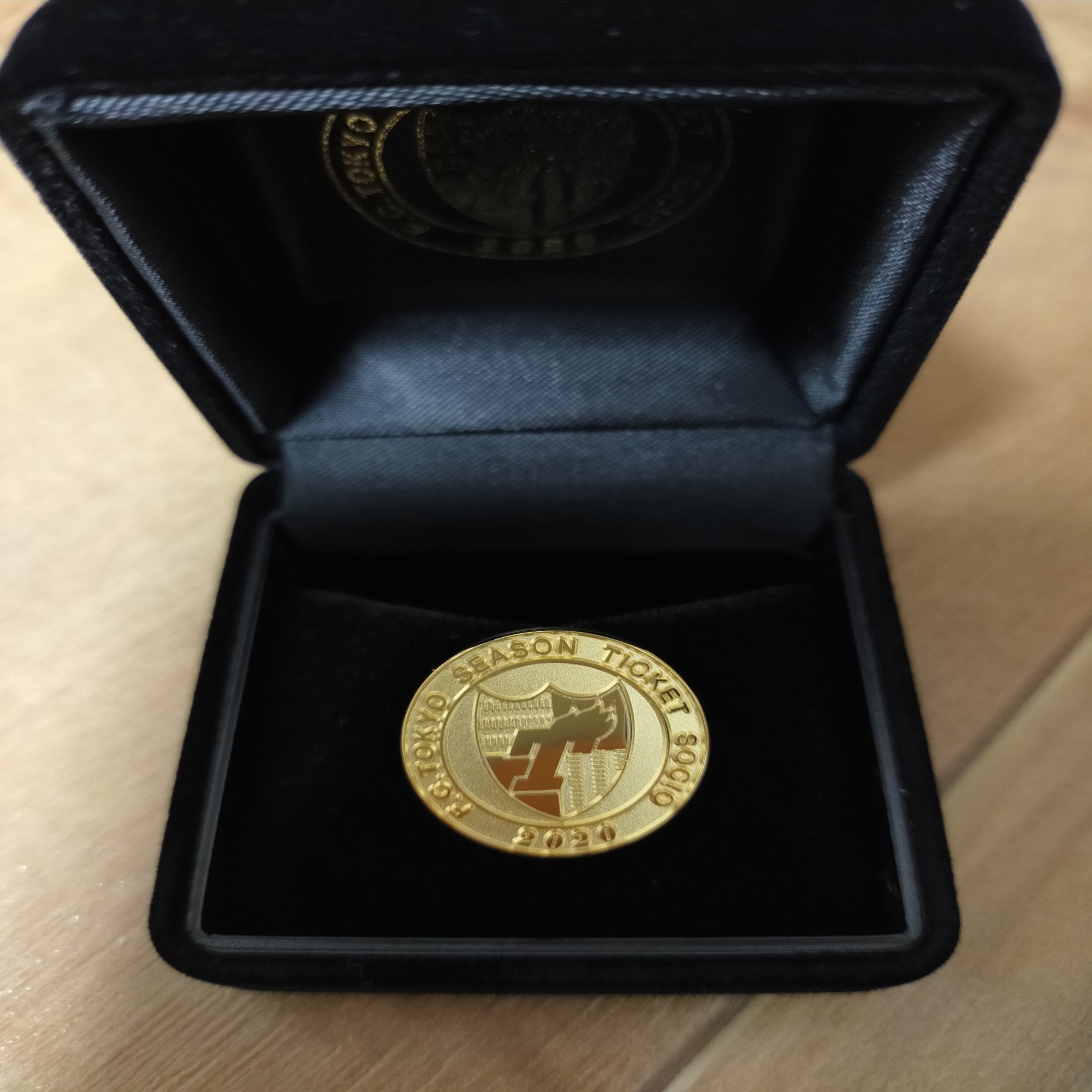 緑はだいっきらい？〜FC東京とノアと私｜はやしげ