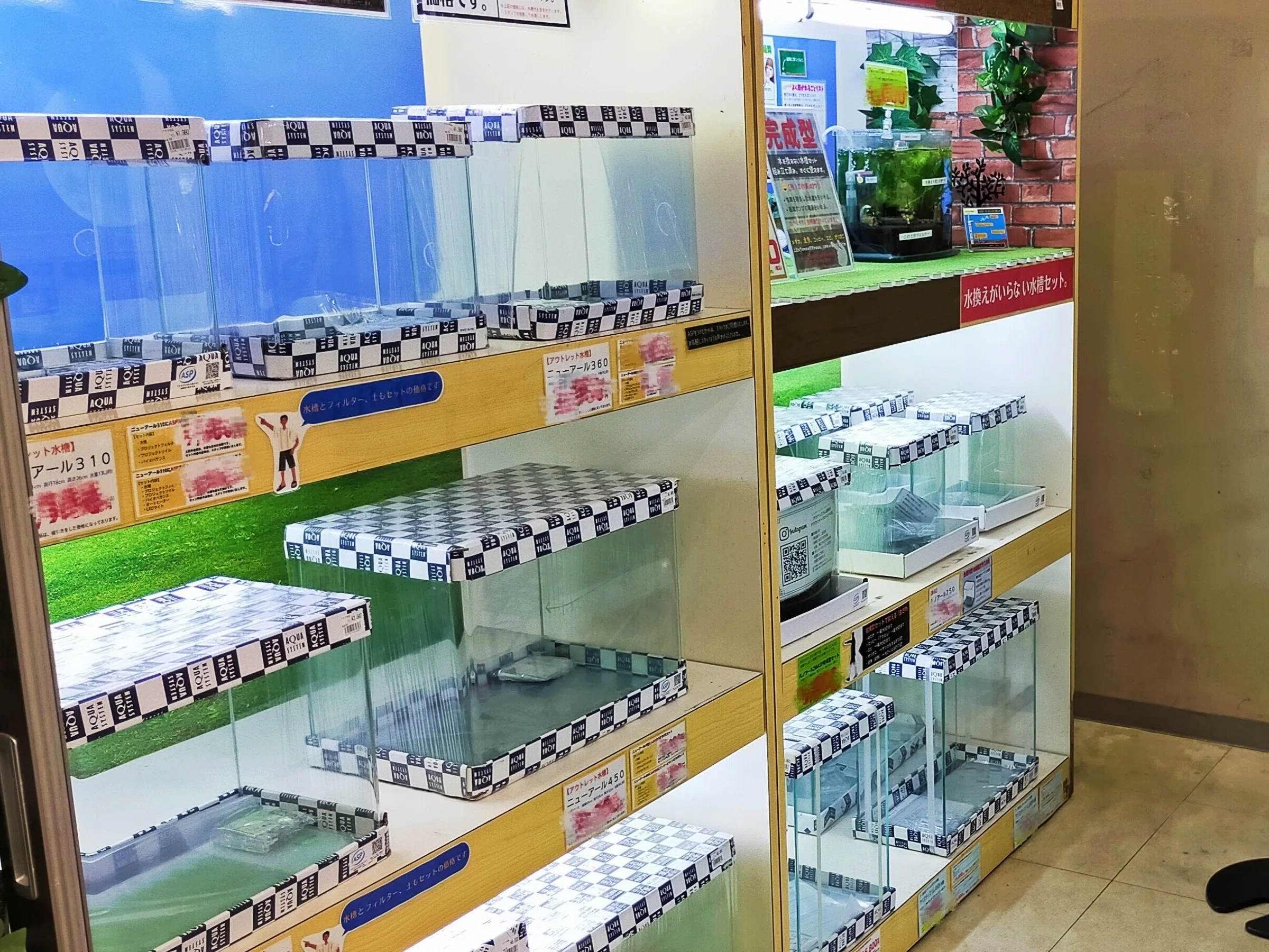 アウトレット水槽コーナーの紹介｜アクアステージ21 SUNAMO店（内藤）