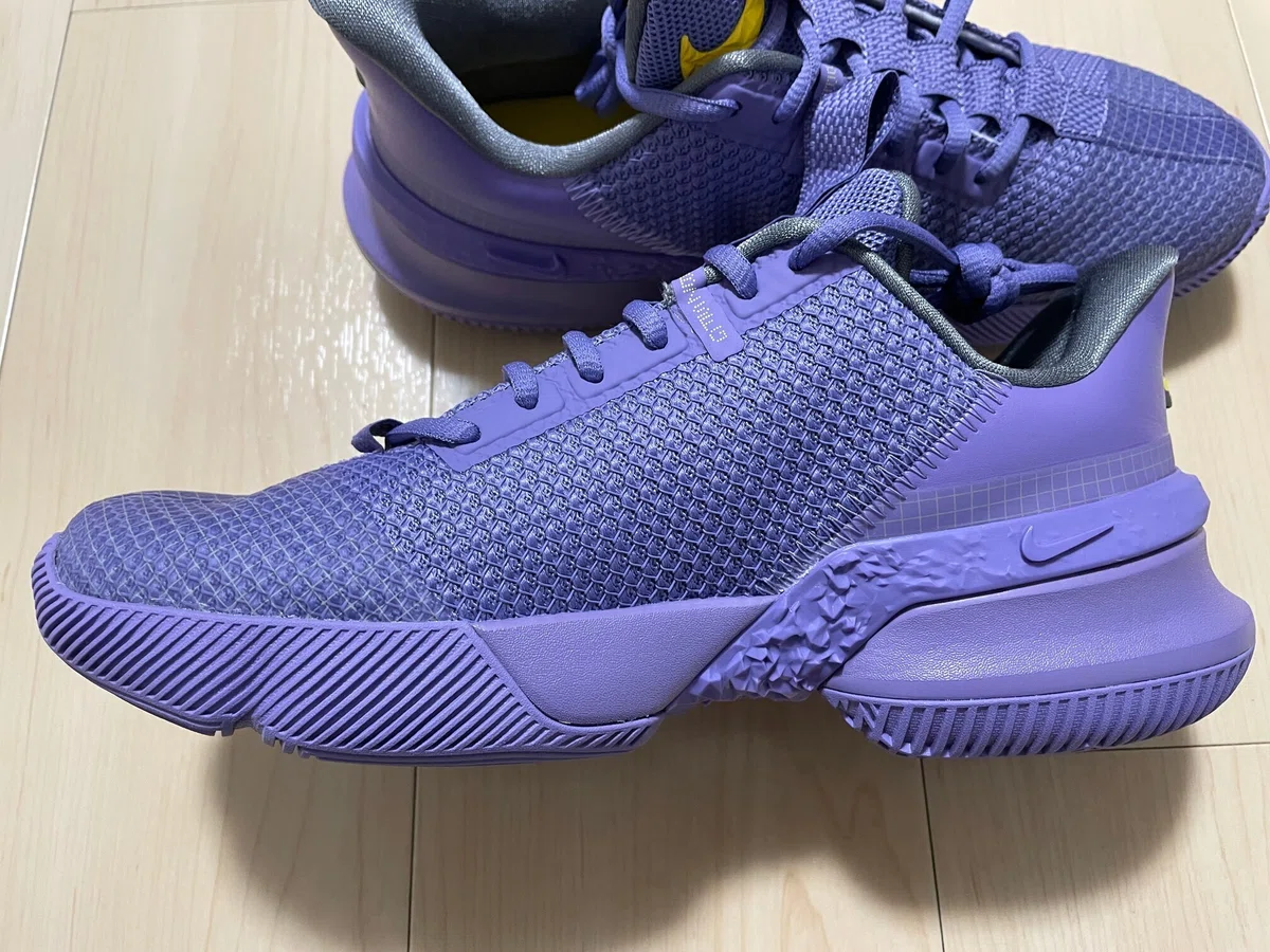 Lebron Ambassador XIII Performance Review｜Brankなんとか