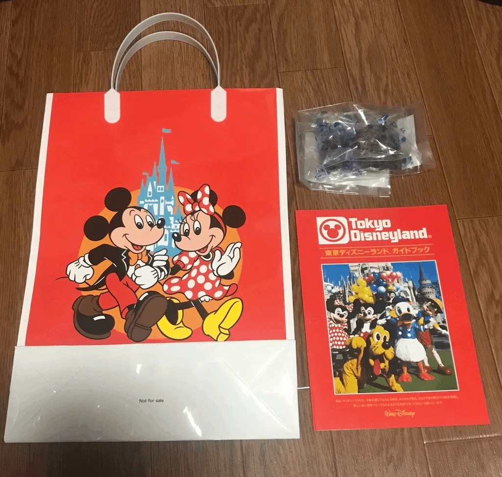 30年前のディズニーランドにタイムスリップしてきた話｜あやね