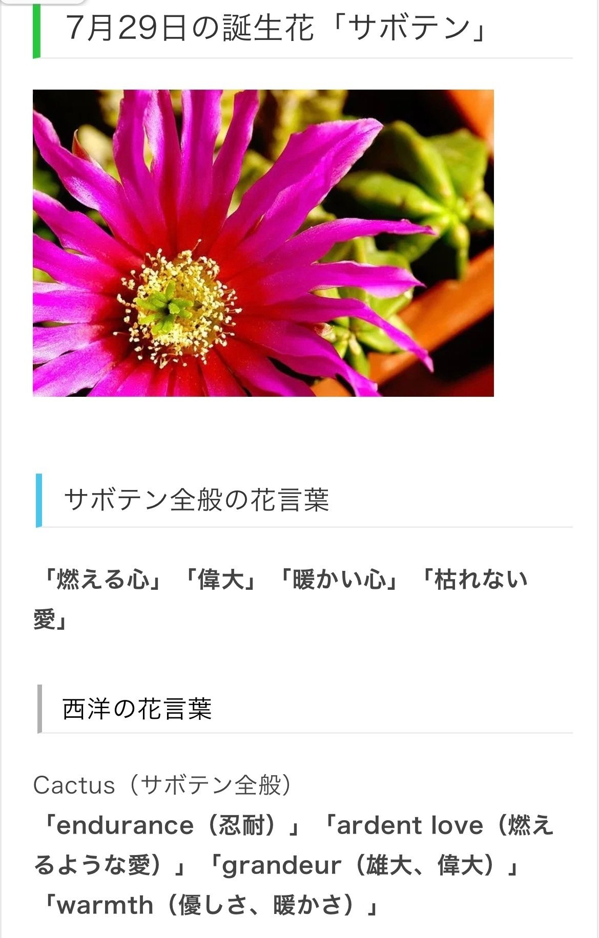 7月29日生まれのあなたへ Chiyo Note 7月29日生まれのあなたへ Chiyo Note