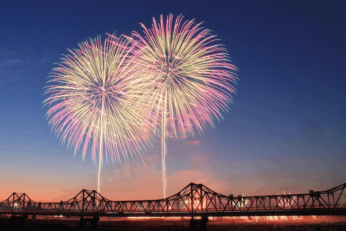 観光のプロから贈る「新潟県(下) 長岡花火大会と🎇山下清画伯 観光のプロから贈る「新潟県(下) 長岡花火大会と🎇山下清画伯