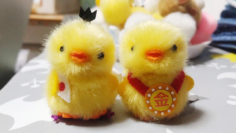 【ココア】ぴよりーなおまとめ ぴより〜な1号が好きになりました｜大髙 那由子