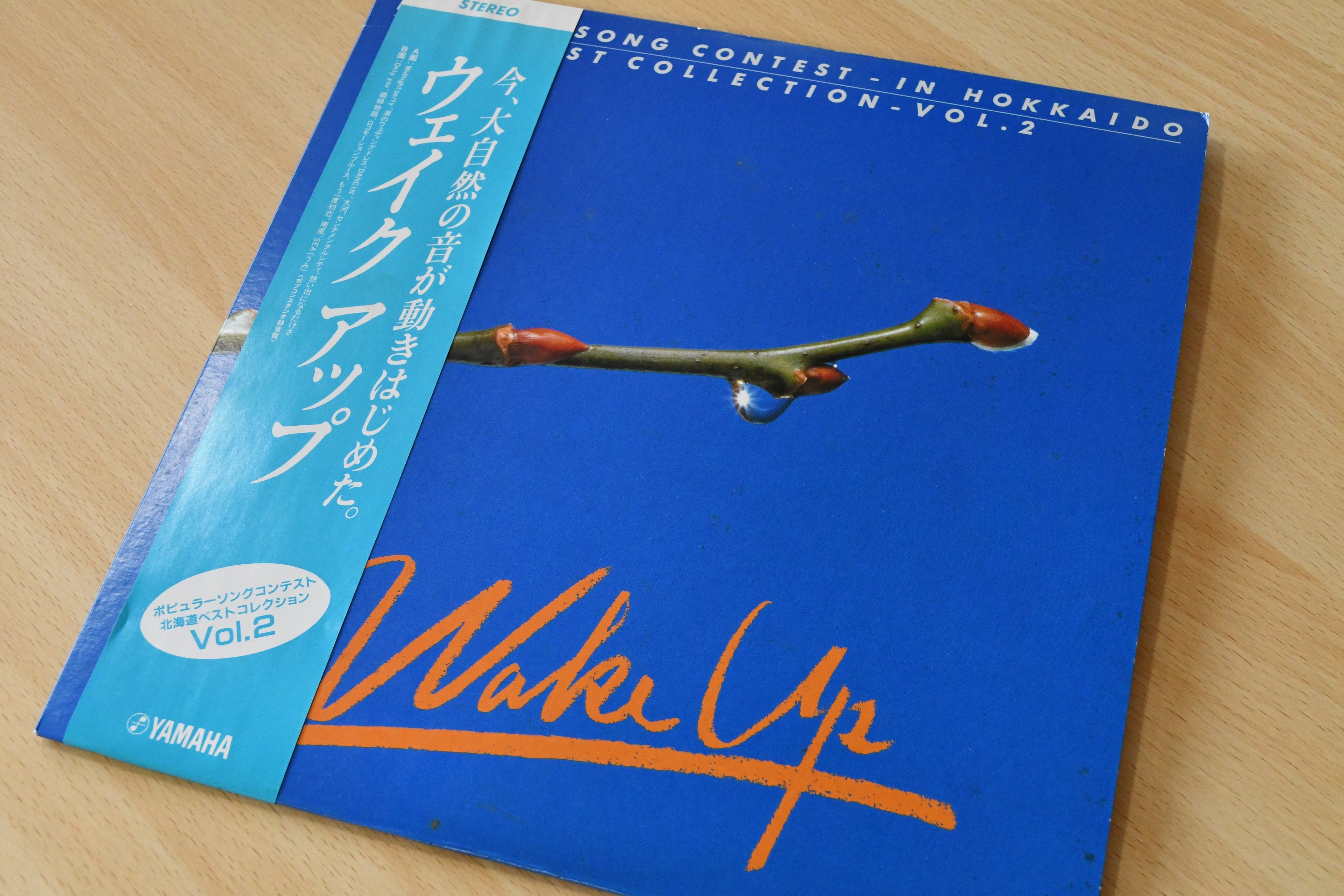 吉田美和　ドリカム  ウェイクアップ　レコード　アナログ盤