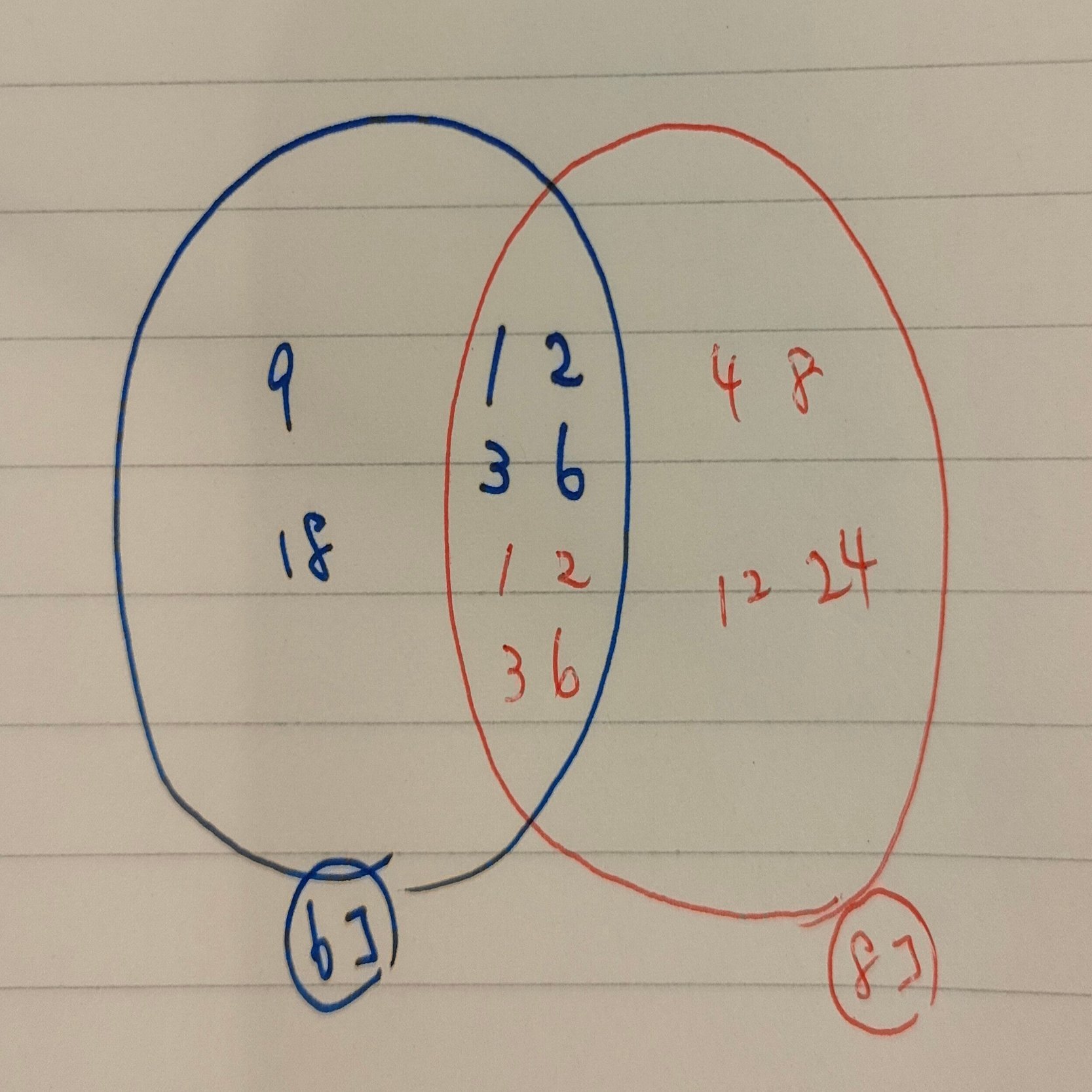 668】算数の教え方 ー公約数とベン図ー｜まこと｜回る仕組みで支える伴走型しかけ職人