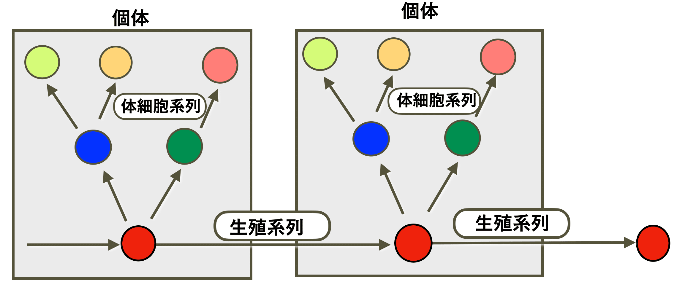 1659167544808-23Nl6hKz3v.png