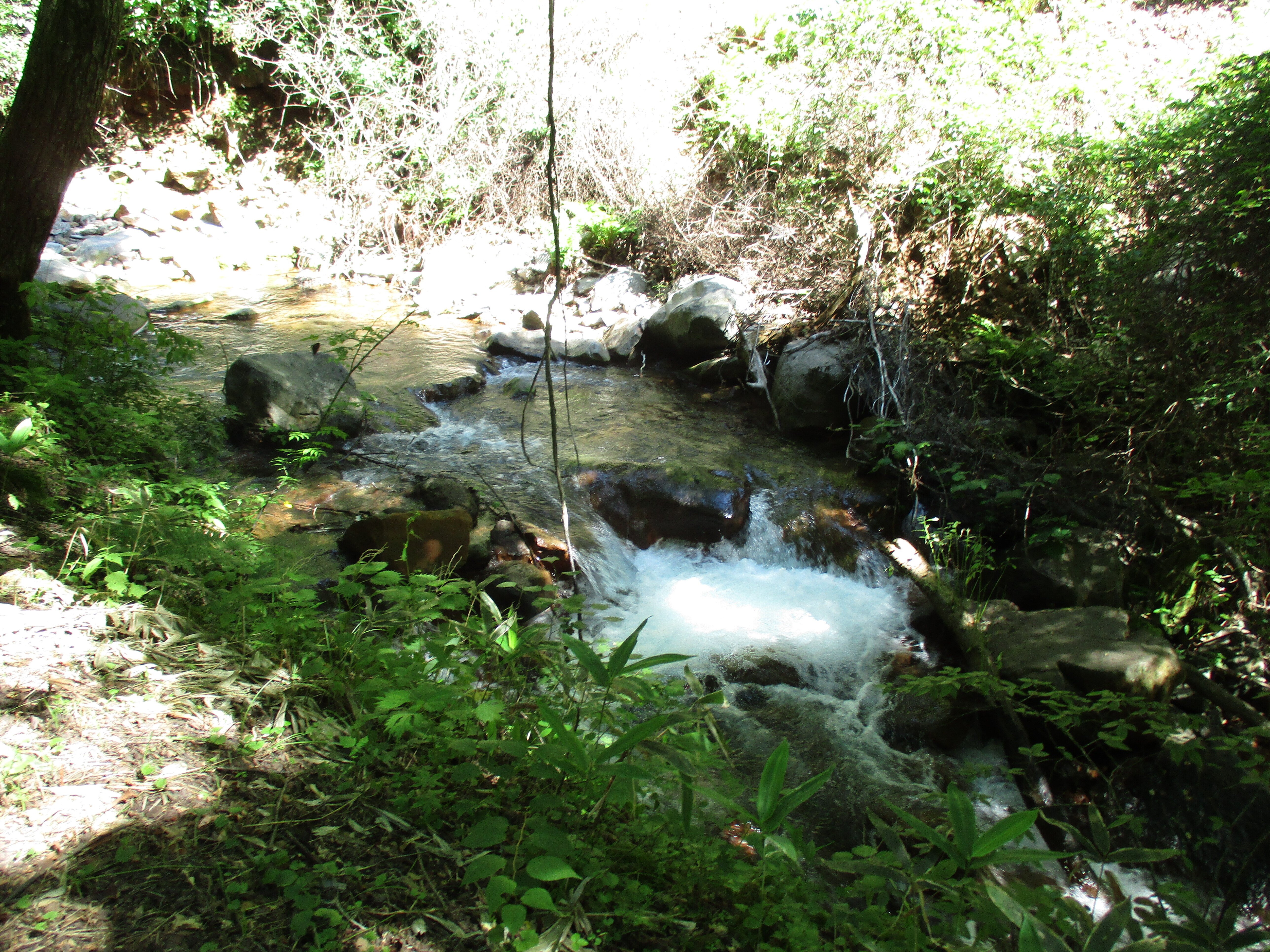 横谷峡遊歩道に散策をしに行ってきた Blue1984 Note