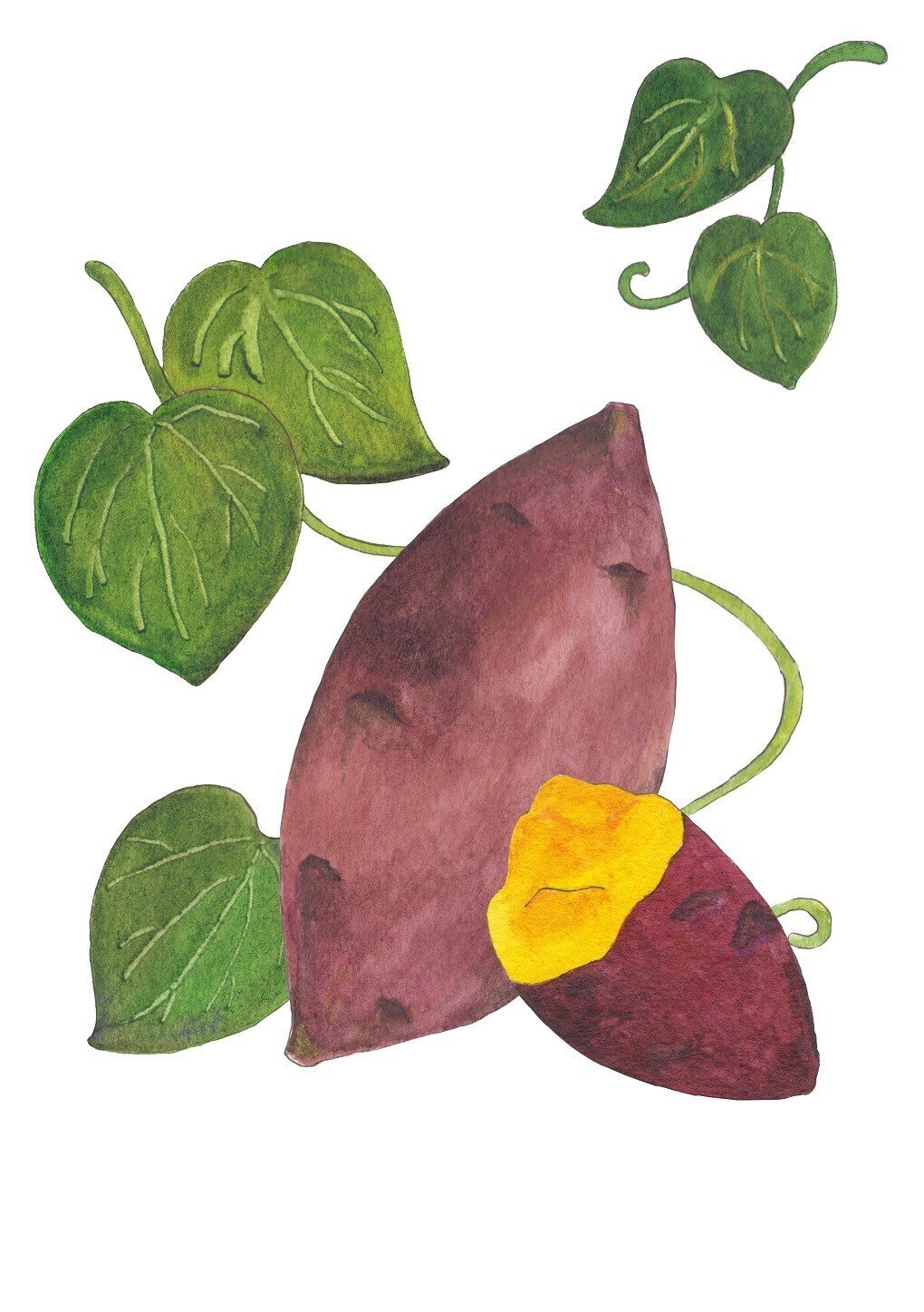 チーズテリーヌ専門店の台紙イラスト 坂之下しま Note チーズテリーヌ専門店の台紙イラスト 坂之下しま Note