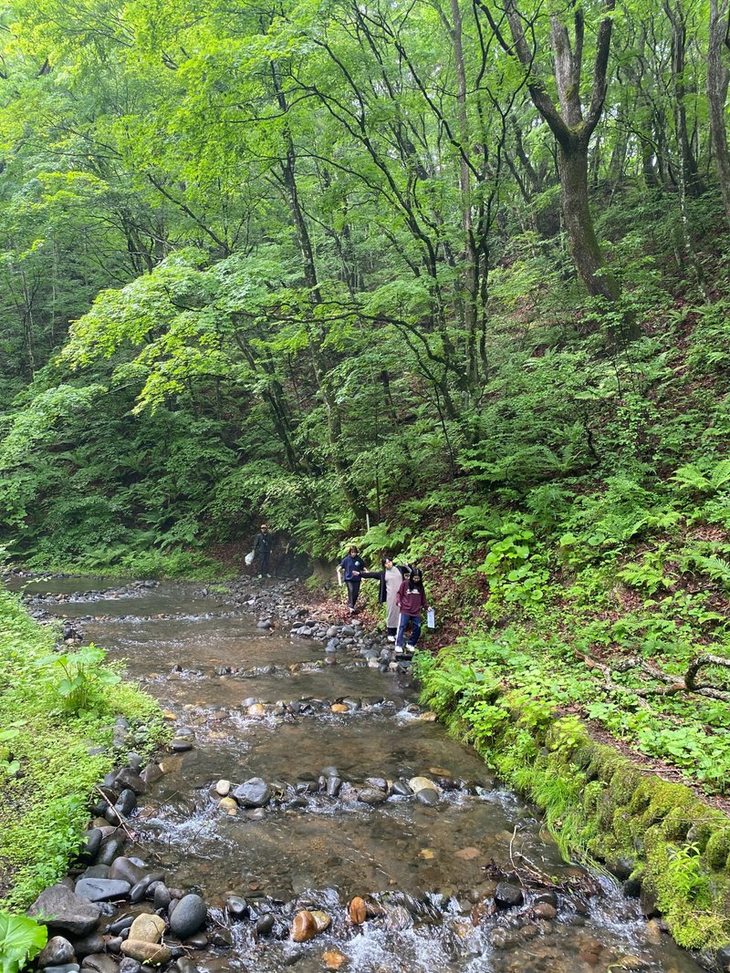 川沿いの石の上を歩く