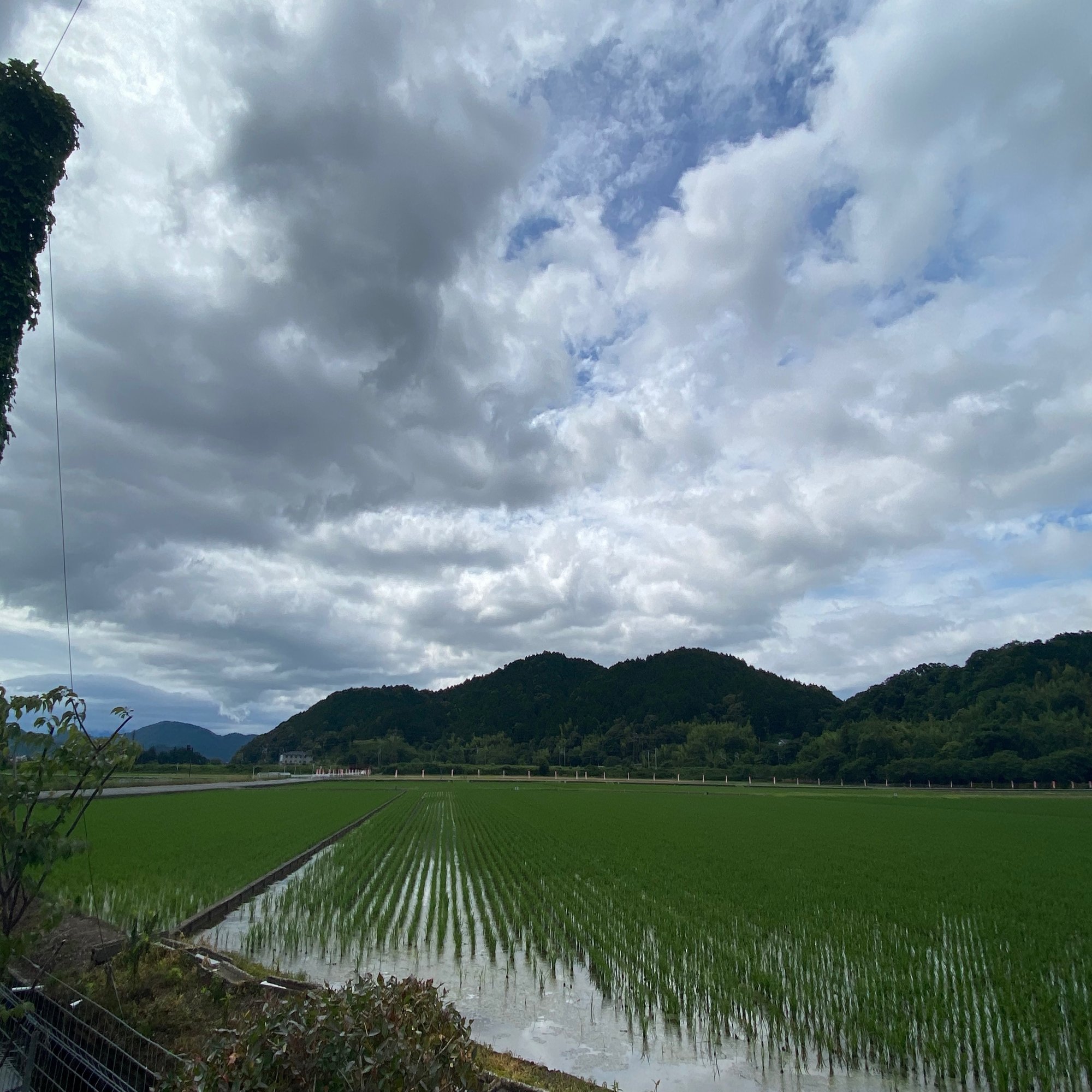 安土城天守 安土山御天主 復元研究の過程と考察 安土城天主研究者 Note
