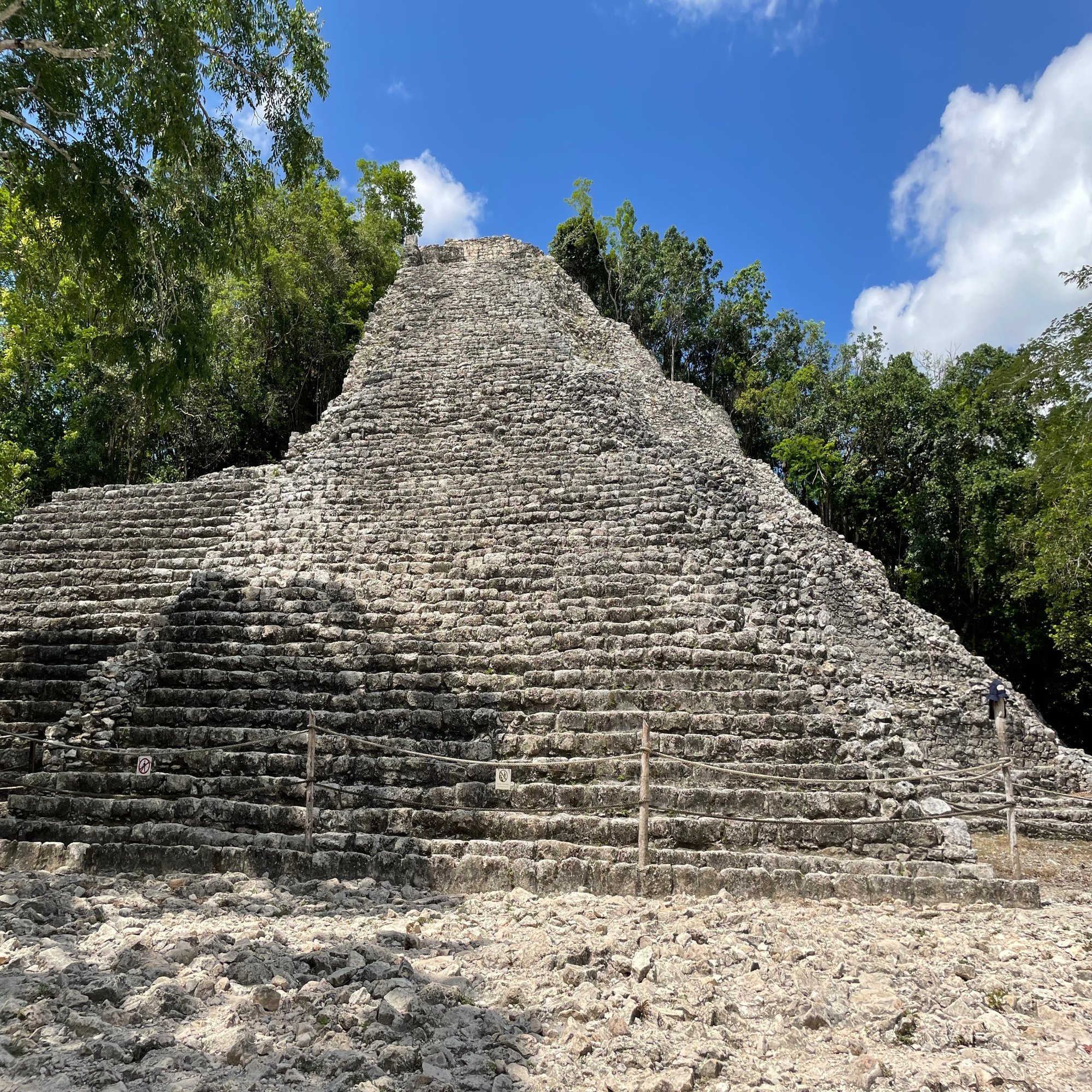 マヤ村通信 Byインターン Maya Mexico Note