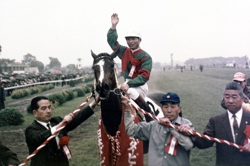 競馬】ウマ娘だけじゃ学べない！昭和後期の名馬たち｜マツウラ