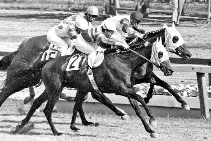 競馬】昭和のアイドルホース「ハイセイコー」と「ウマ娘が歌う理由