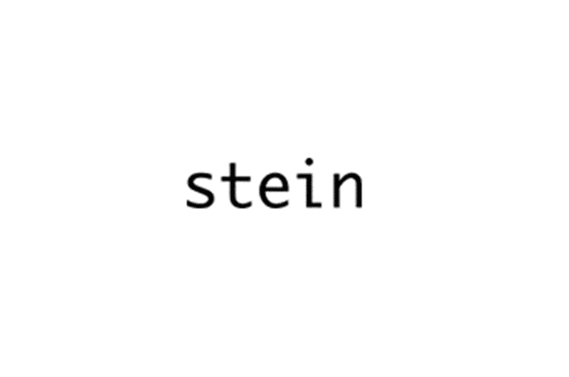 stein（シュタイン）ブランドロゴ