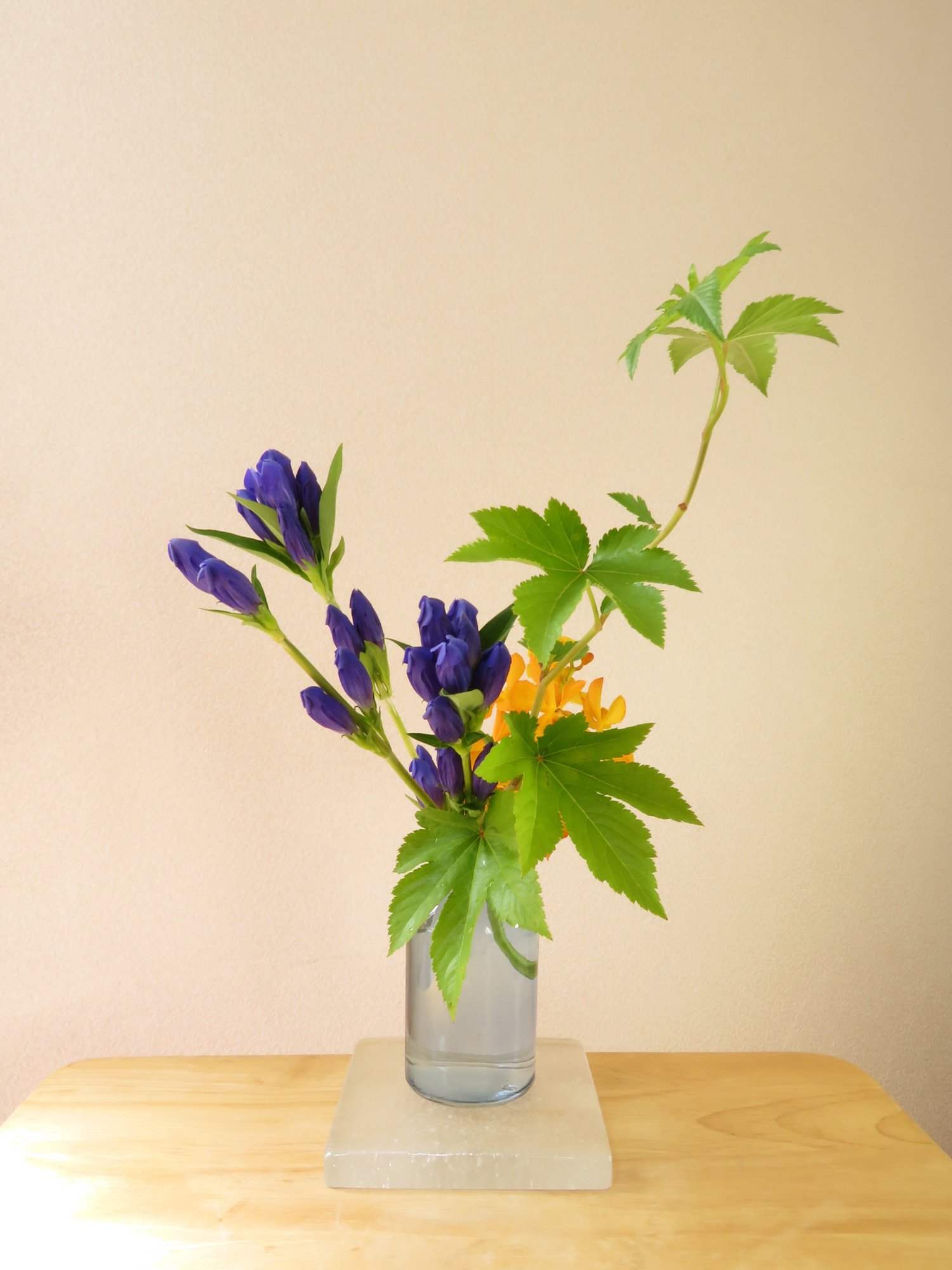 リンドウに心惹かれて 花と日々 Yas Note