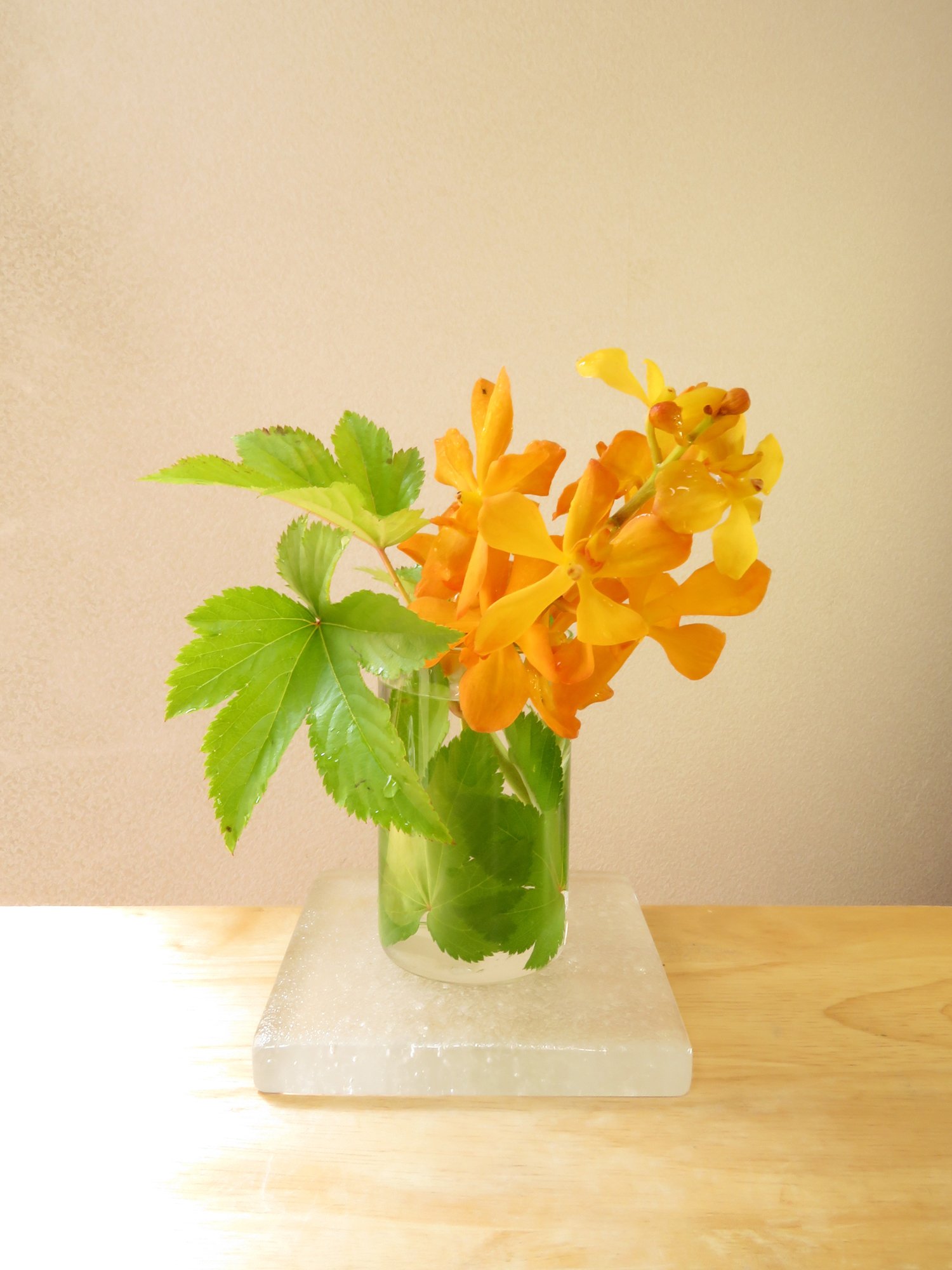 蘭とキイチゴのお花飾り 花と日々 Yas Note