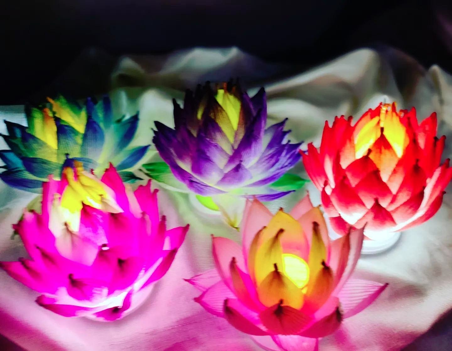 蓮ランプ作製WS＠たのんまぁ｜のどか