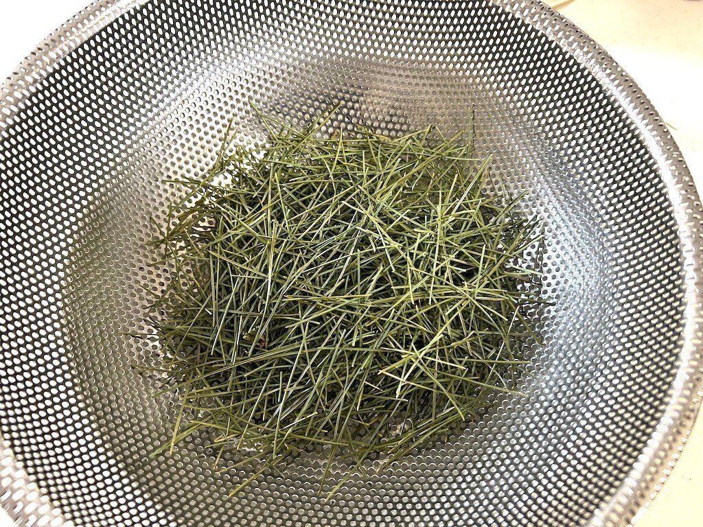 葉と水をジューサーにかけて、こすと出来上がる「松葉ジュース」を初めて作ってみた時の話。