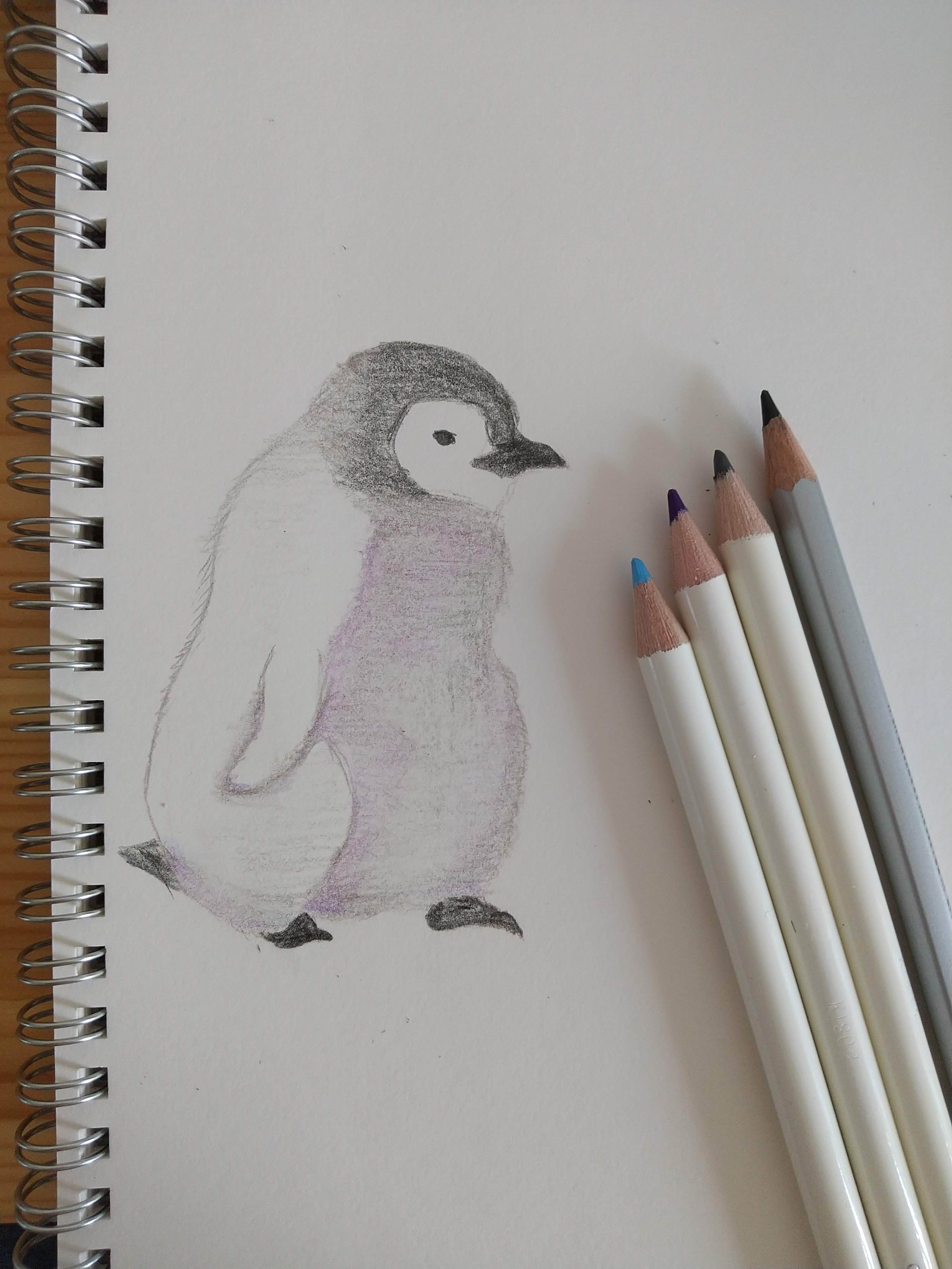 絵 004 ペンギン 紫雲英草 れんげそう Note