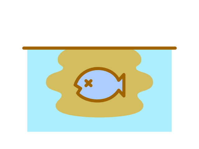 ヒメタニシがソイルに潜る理由 アクアステージ21スナモ店 Note ヒメタニシがソイルに潜る理由 アクアステージ21スナモ店 Note