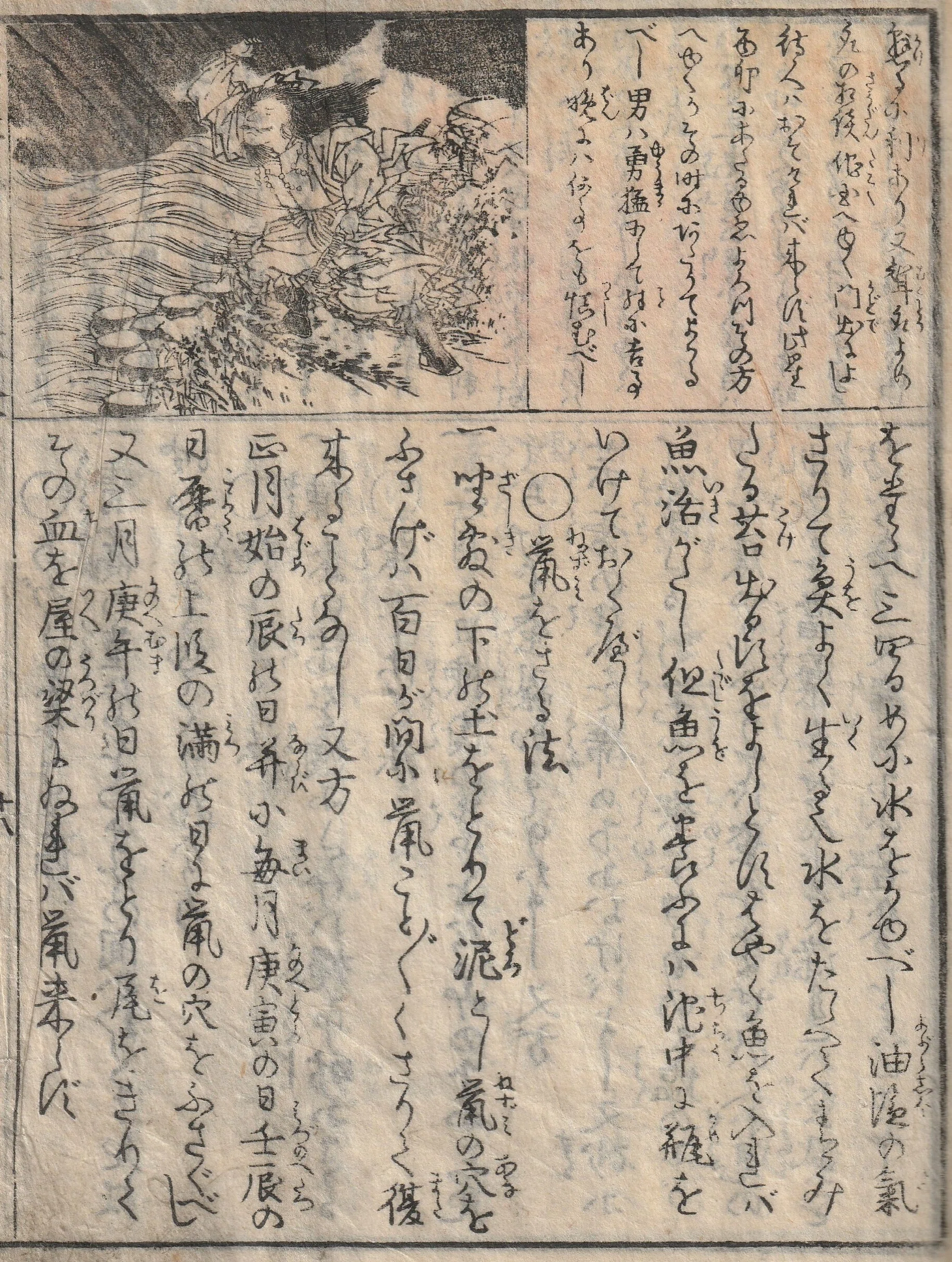 昆布を青くする方法など。江戸時代の古文書『廣益秘事大全』解読⑩｜た