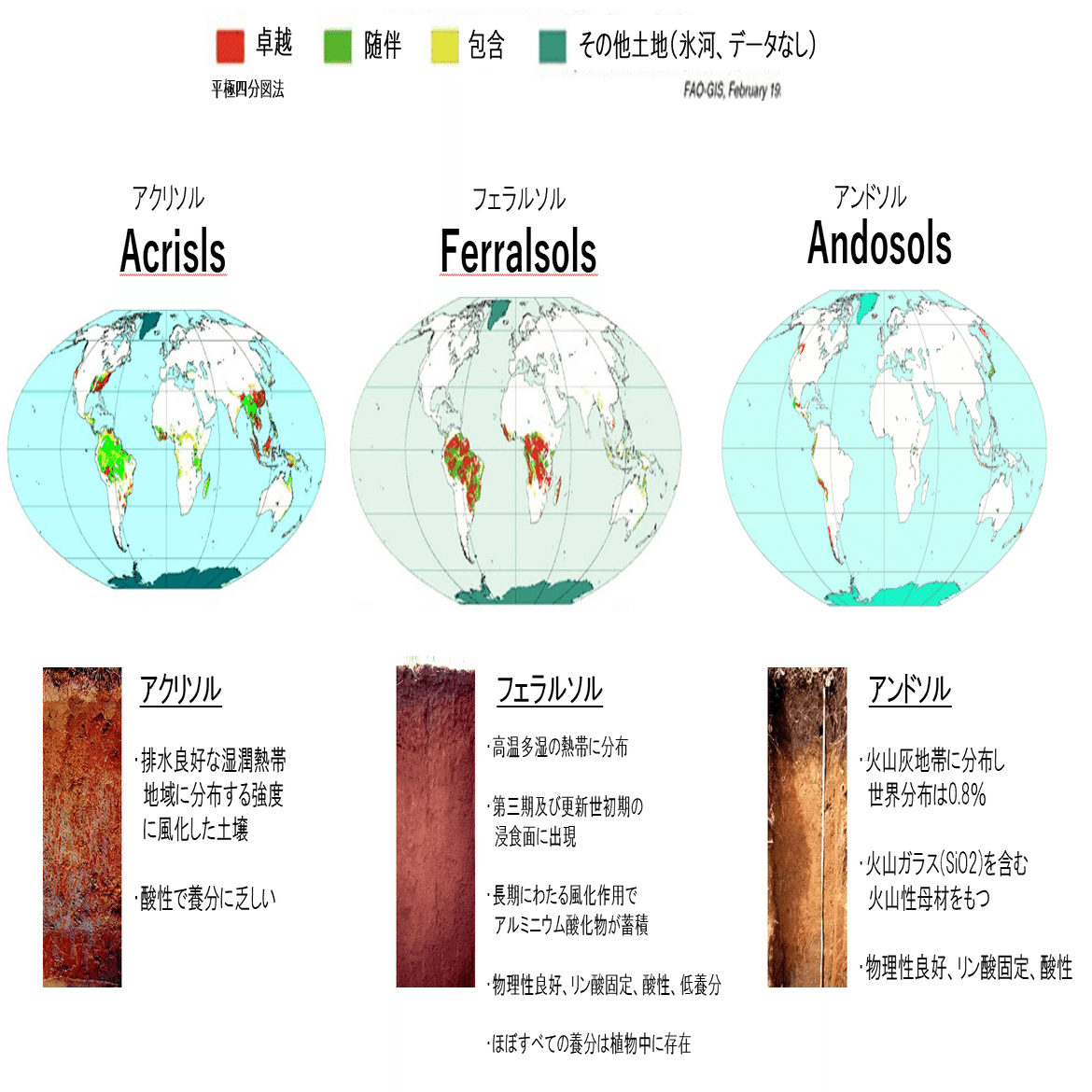 岩石植物 ー地質的な存在としての竹林植生ー｜はる農園