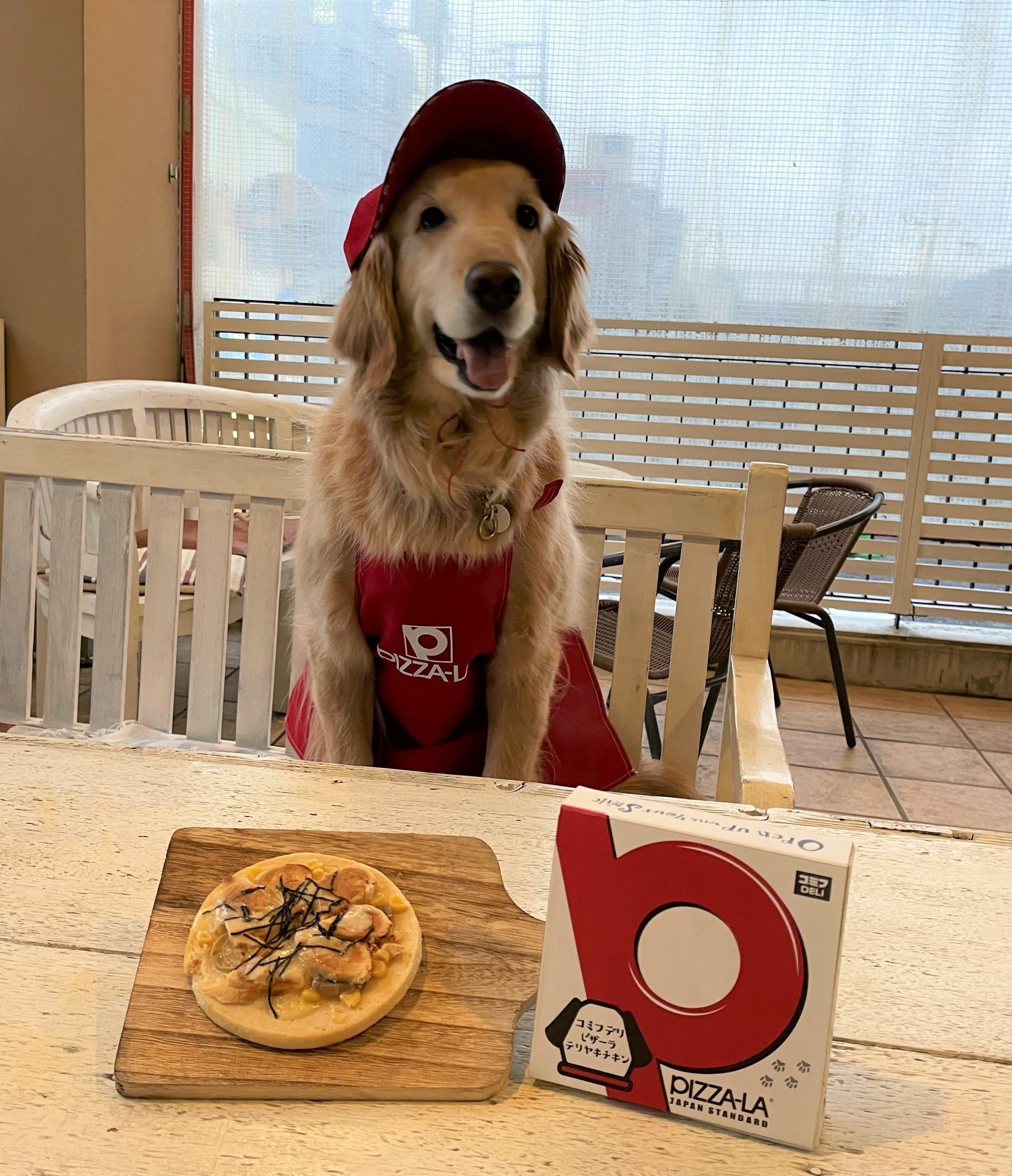わんちゃんにも、ピザーラおとどけ！「わんこピザ」開発ものがたり